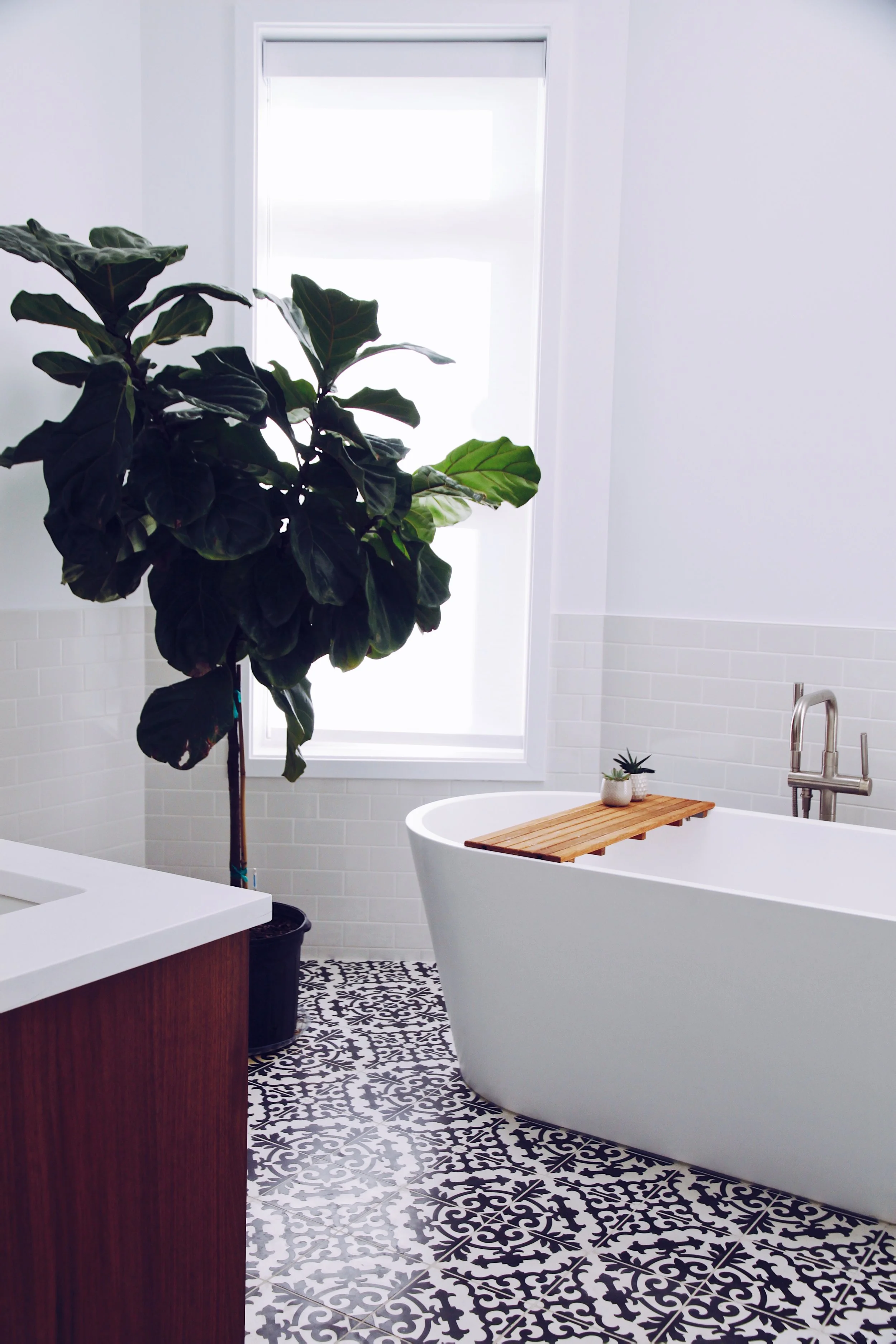 adchi_2014 hoyne mb tree.jpeg