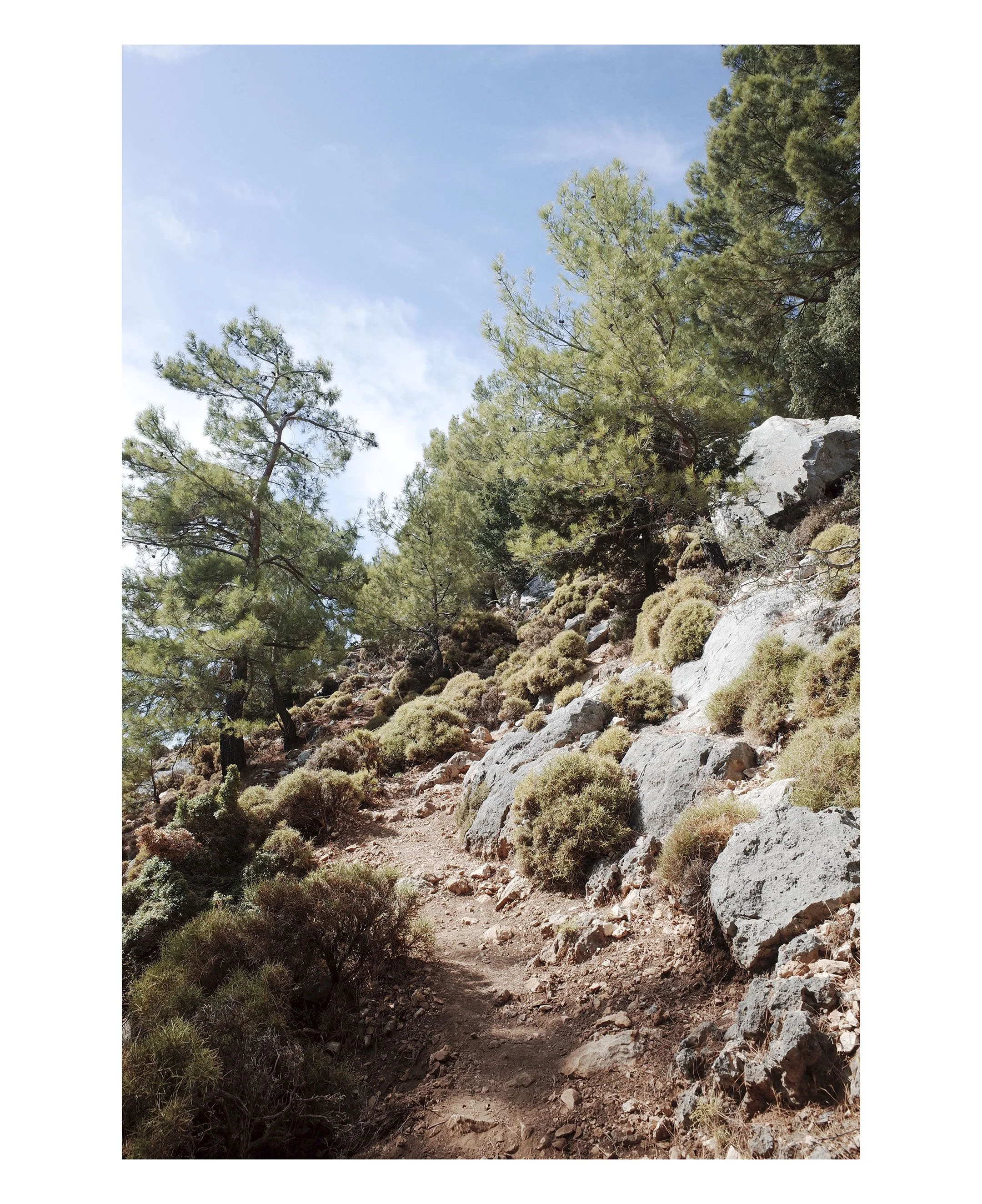 Trail, Western Lycia.