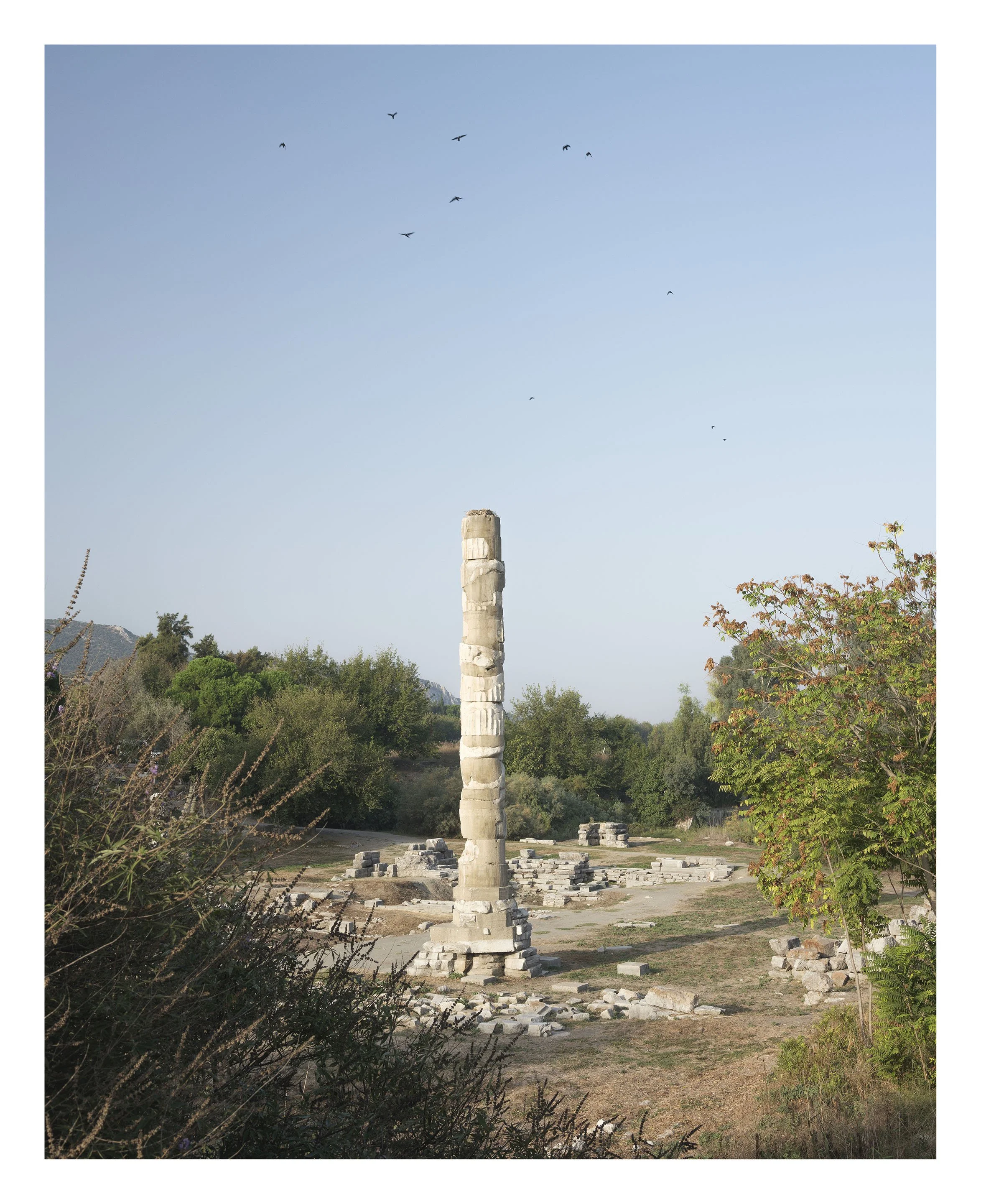 Site of the Temple of Artemis, Ephesus.