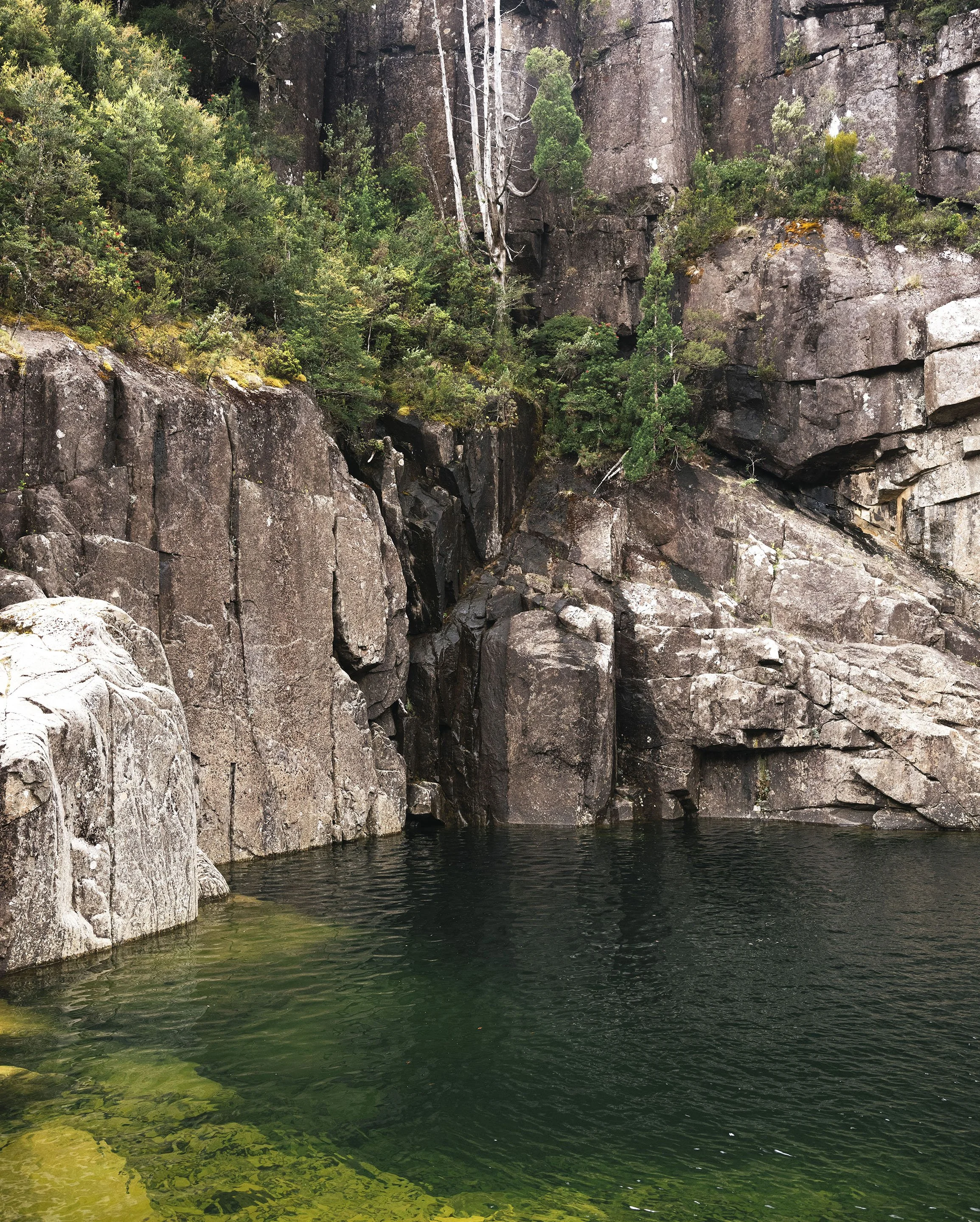  Parsons Falls, Central Tasmania. 