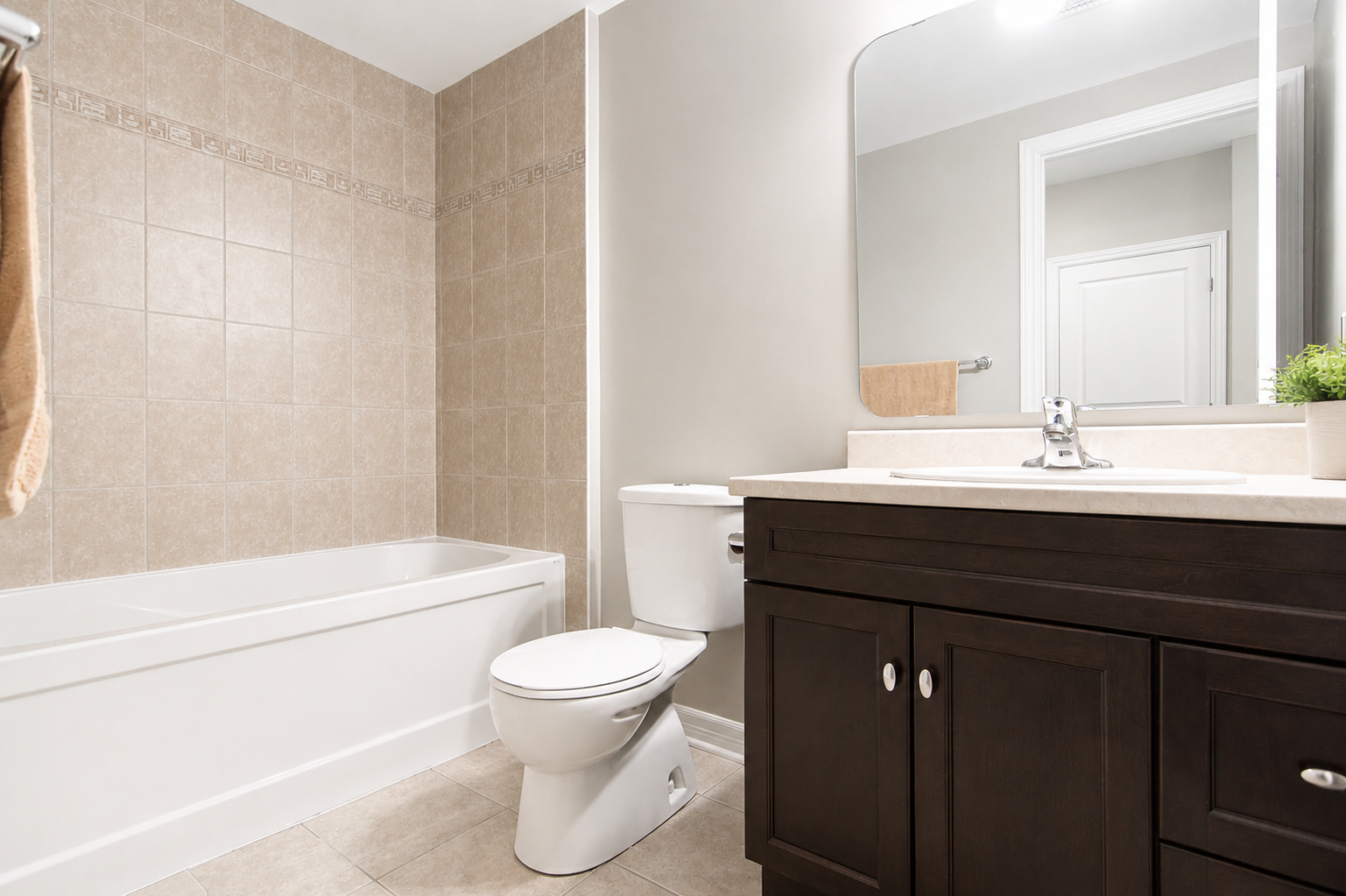 Basement bathroom.png