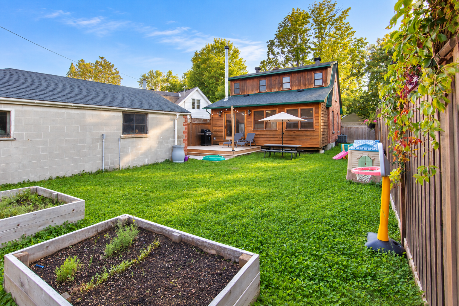 backyard.png