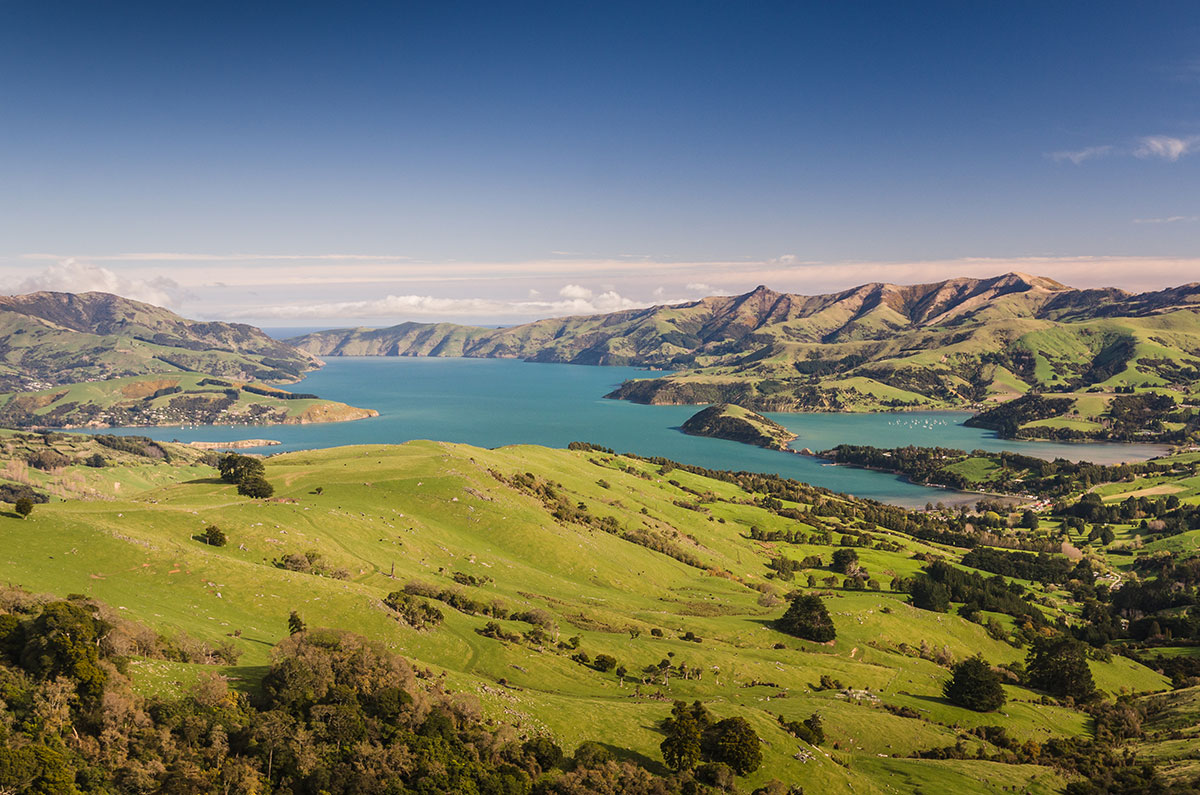 shutterstock_241126453.jpg