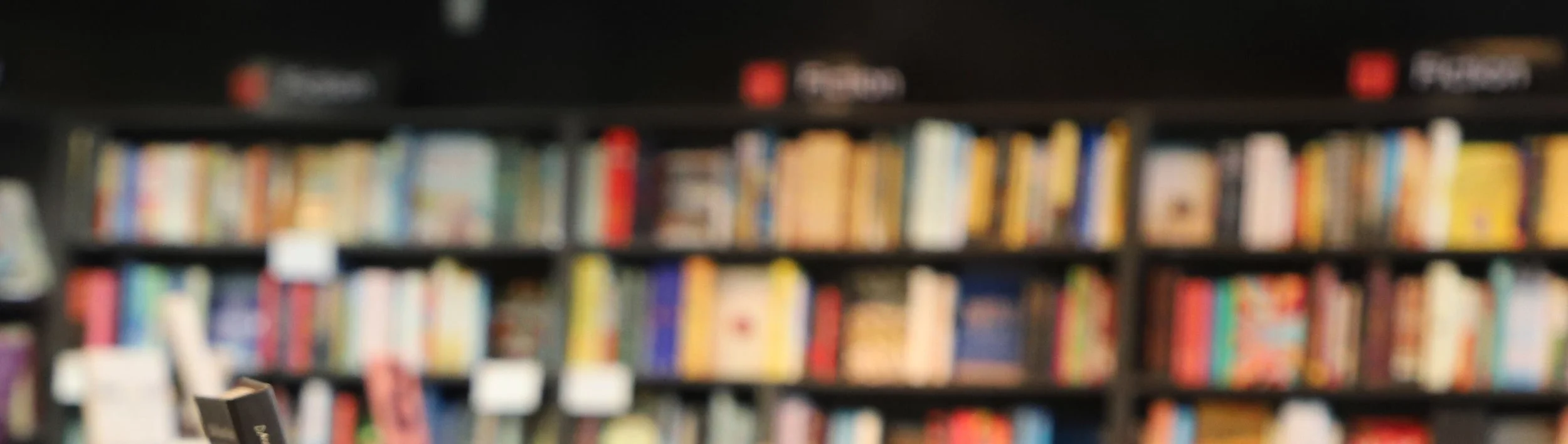 header.jpg