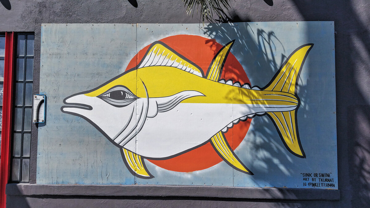  Fish View on 14th Street 