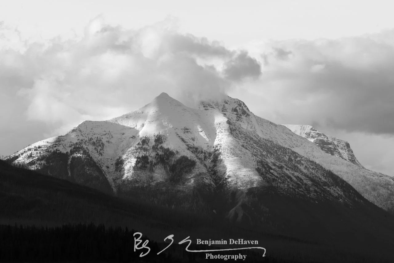 Snow Capped