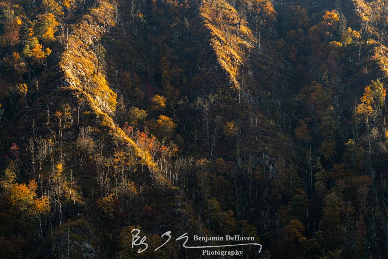 B000629-Edit.jpg