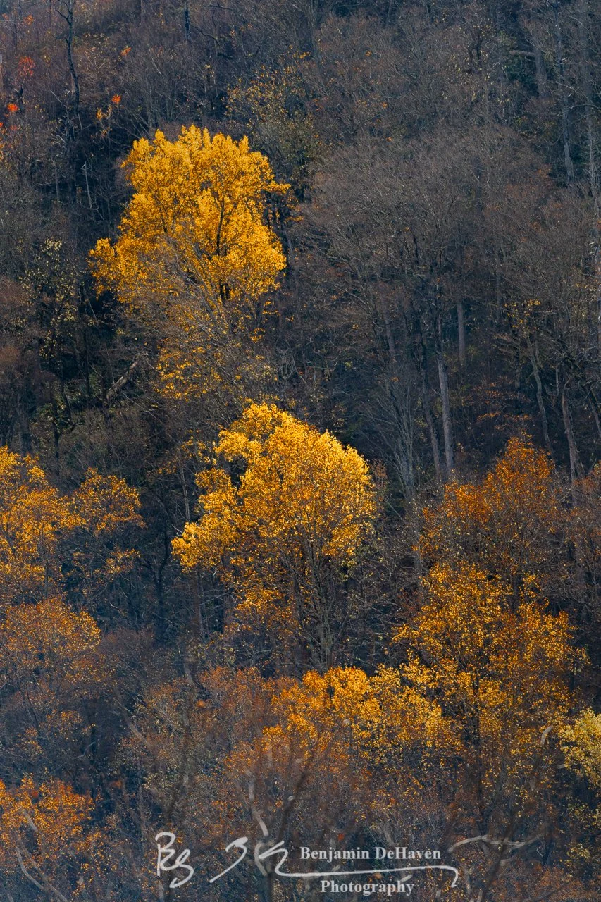 B000892.jpg