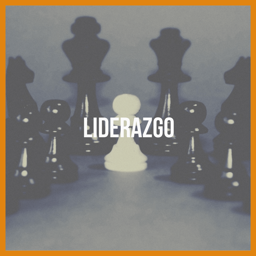 Liderazgo