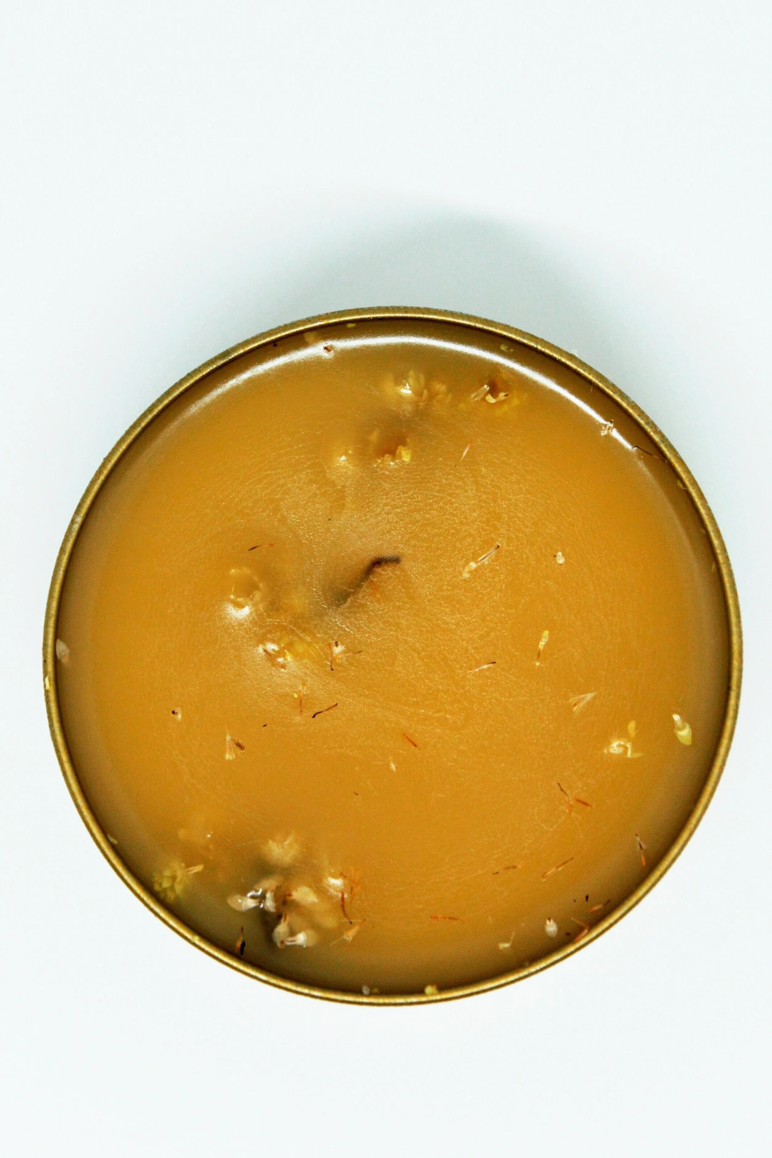 PAIN RELIEVING ELIXIR: THE SALVE