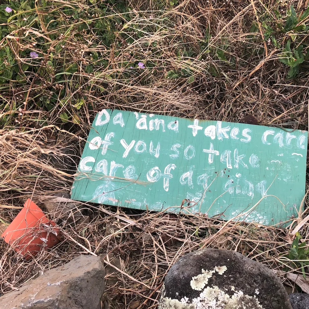 aina.jpg