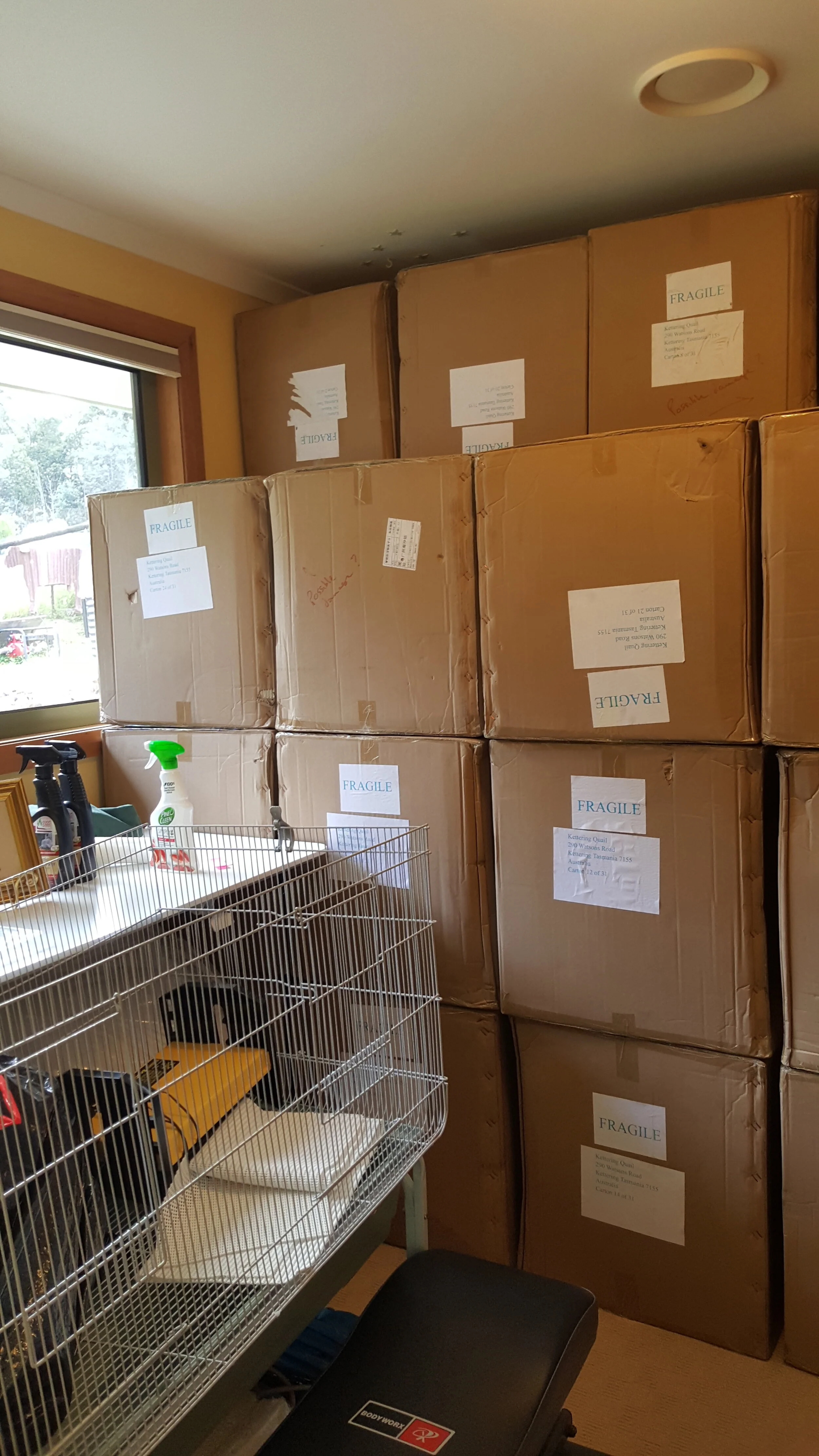 KETTERING QUAIL TASMANIA — Other Products Available Quail Egg Cartons