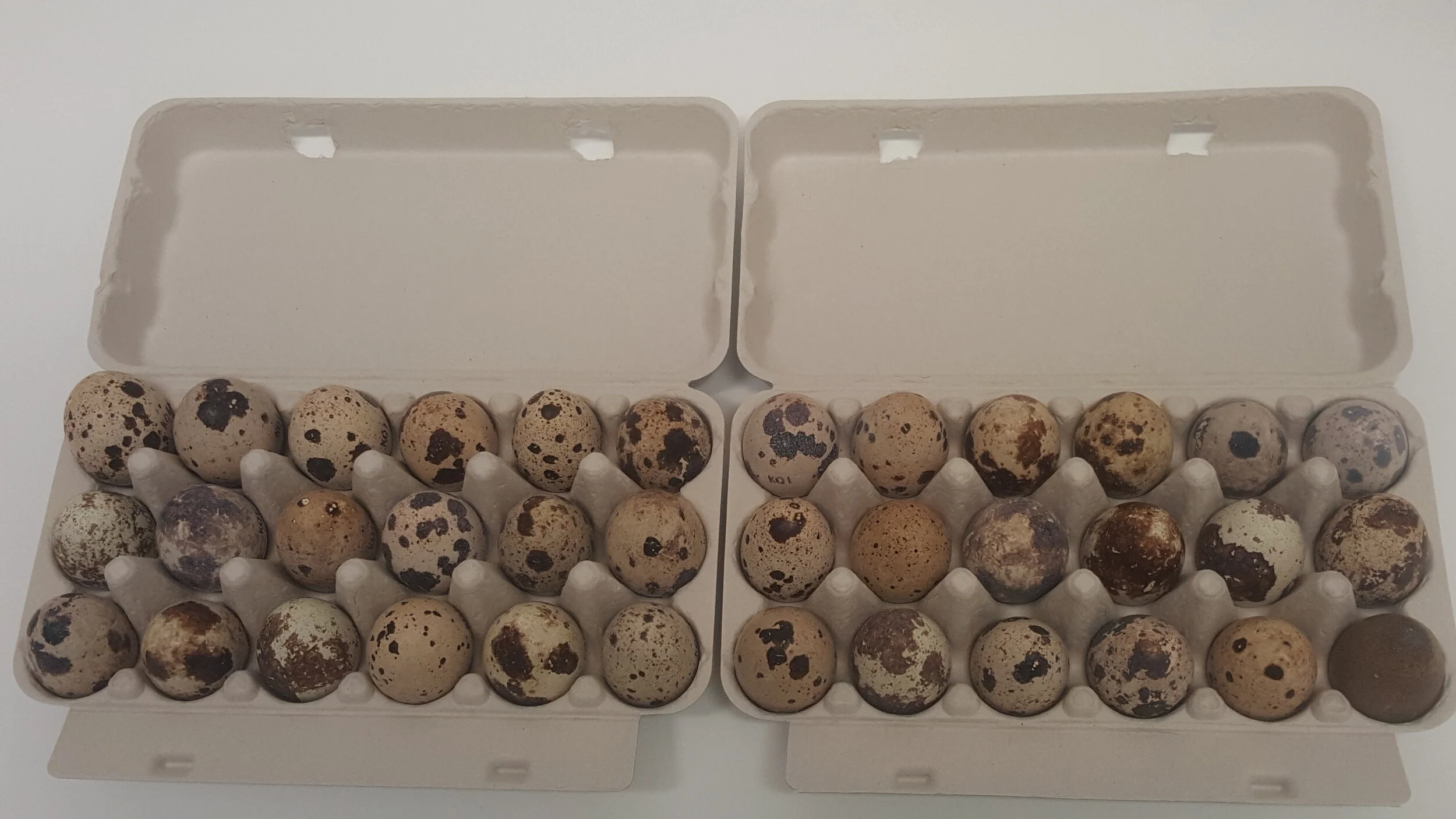 KETTERING QUAIL TASMANIA — Other Products Available Quail Egg Cartons