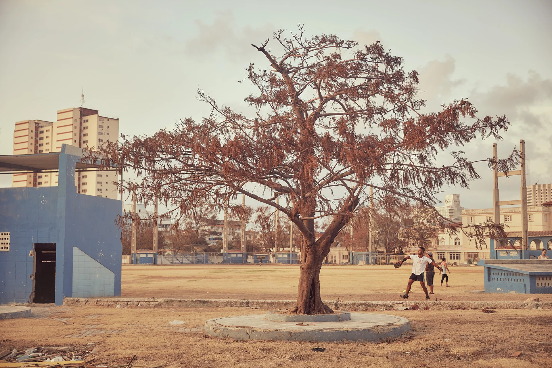 _55A7880EDFLTWEB.jpg