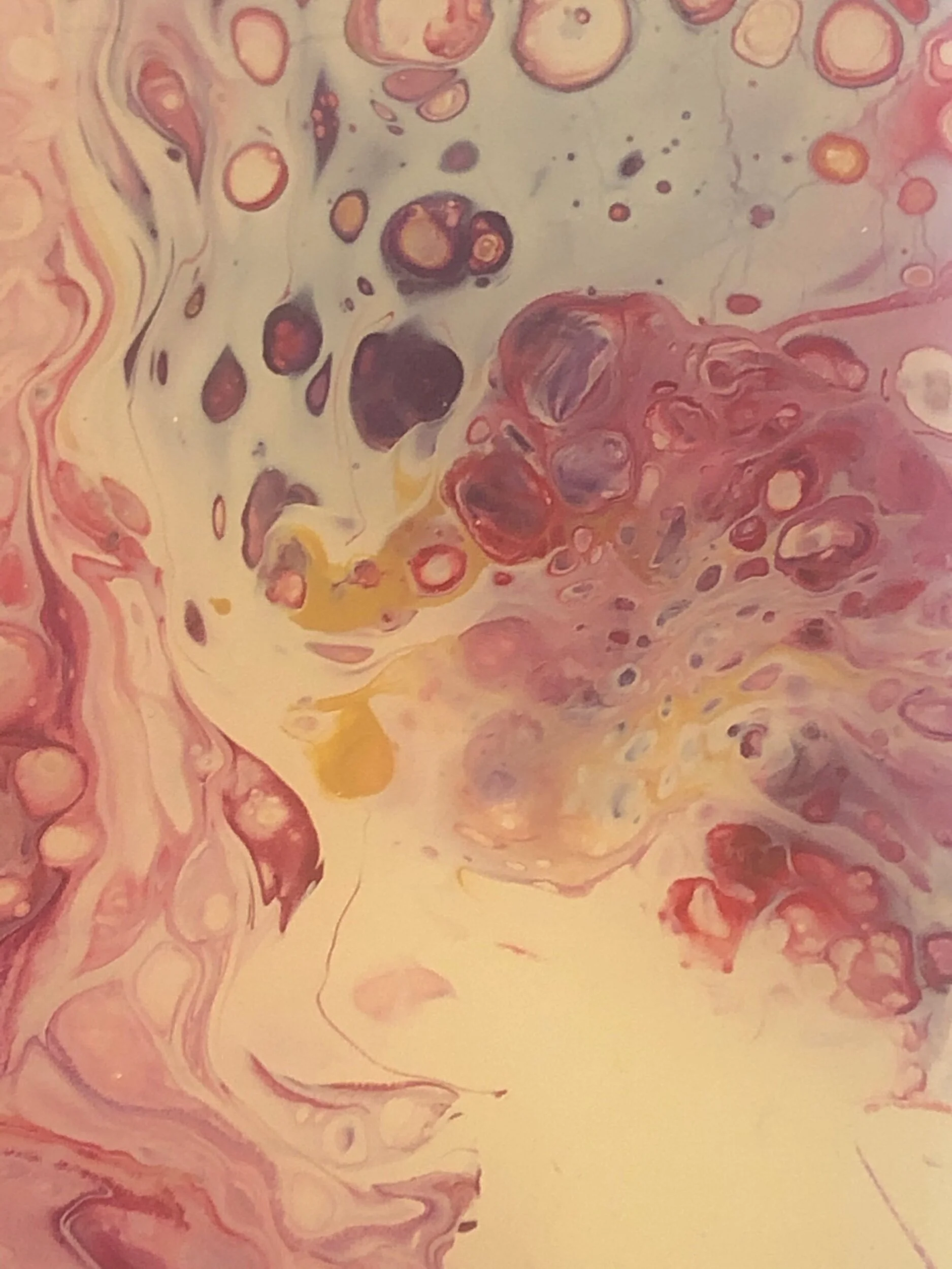 4DD6F42F-0D70-4D63-83F1-C250A4D2A528