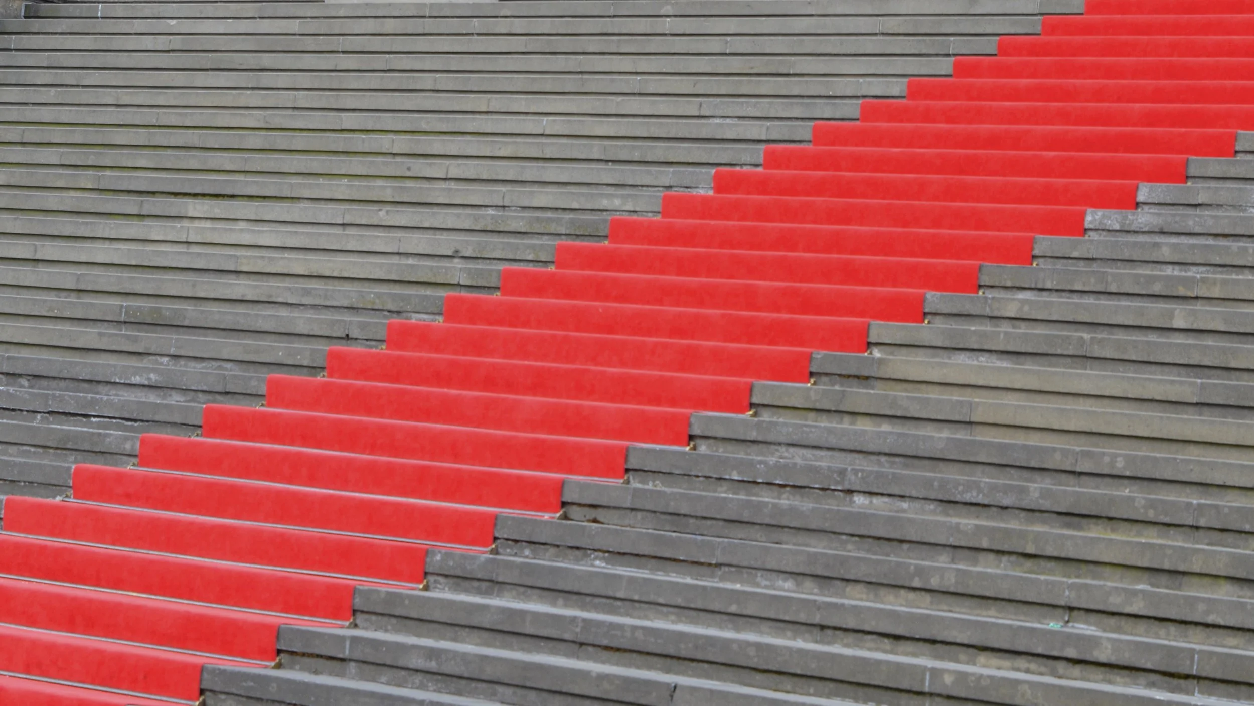 step-3175092.jpg