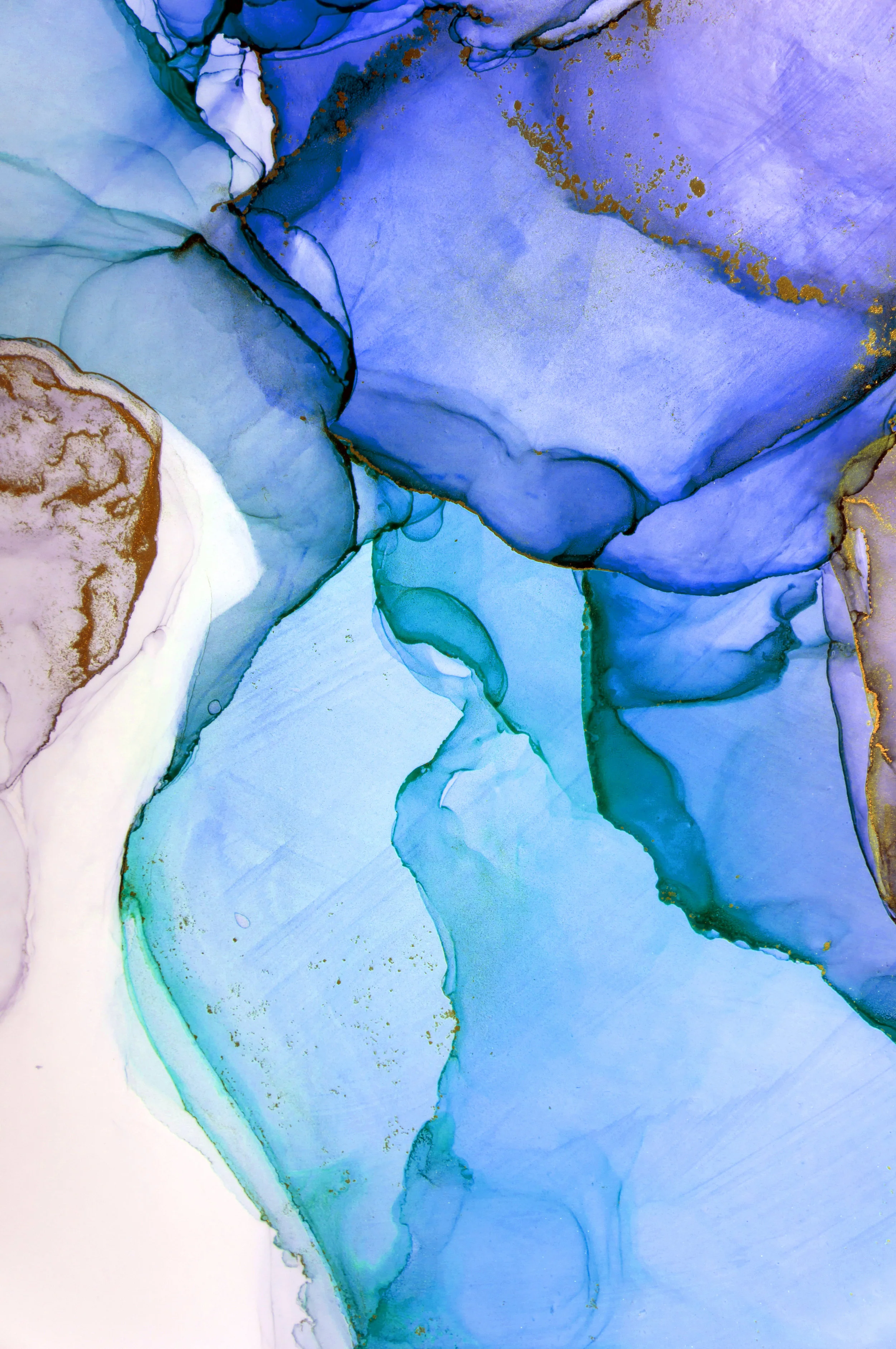 Image Catalogue KwickScreen Printed Privacy Screens — KwickScreen