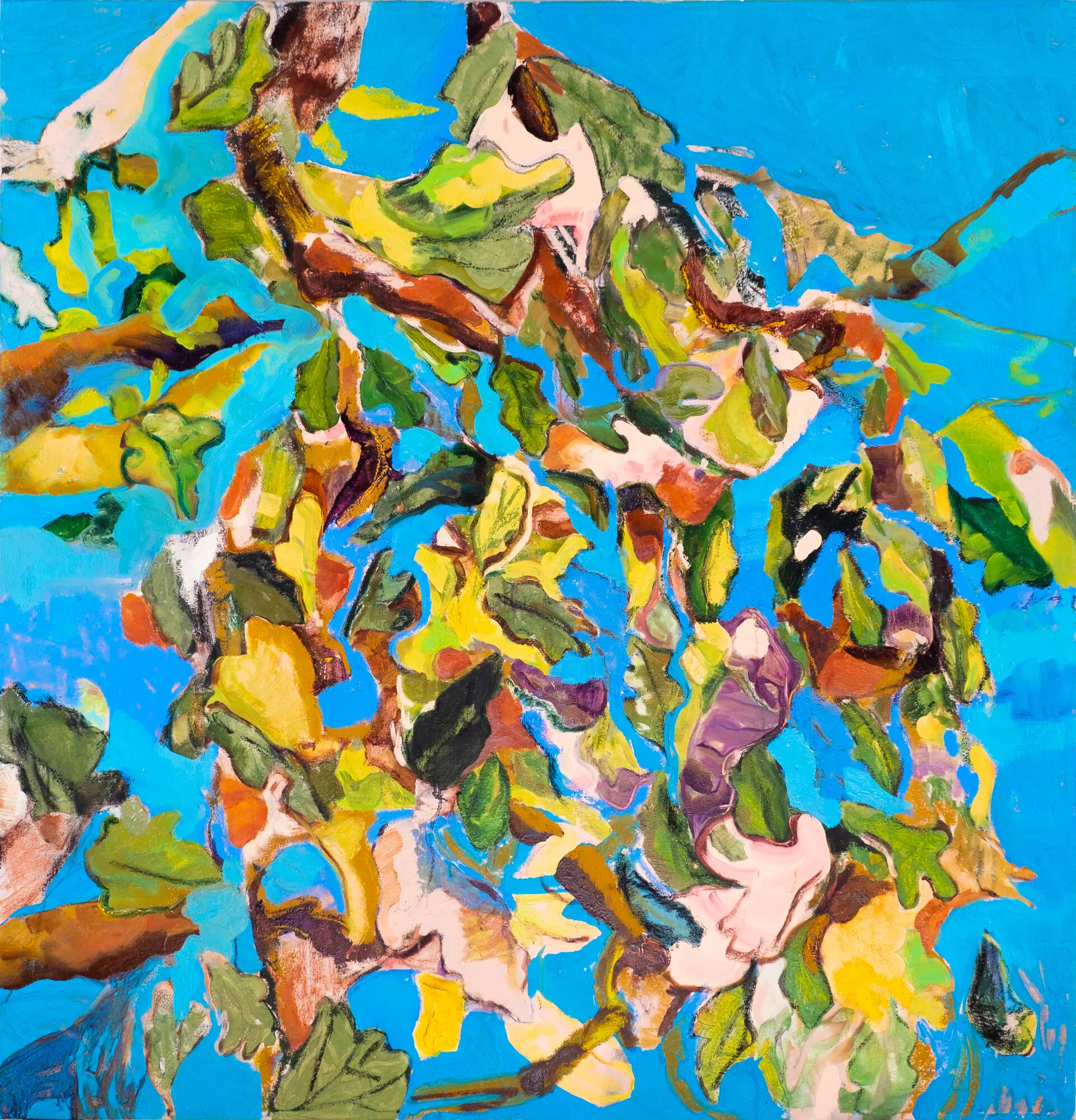 Maija Lassila: Nuori tammi / Young Oak