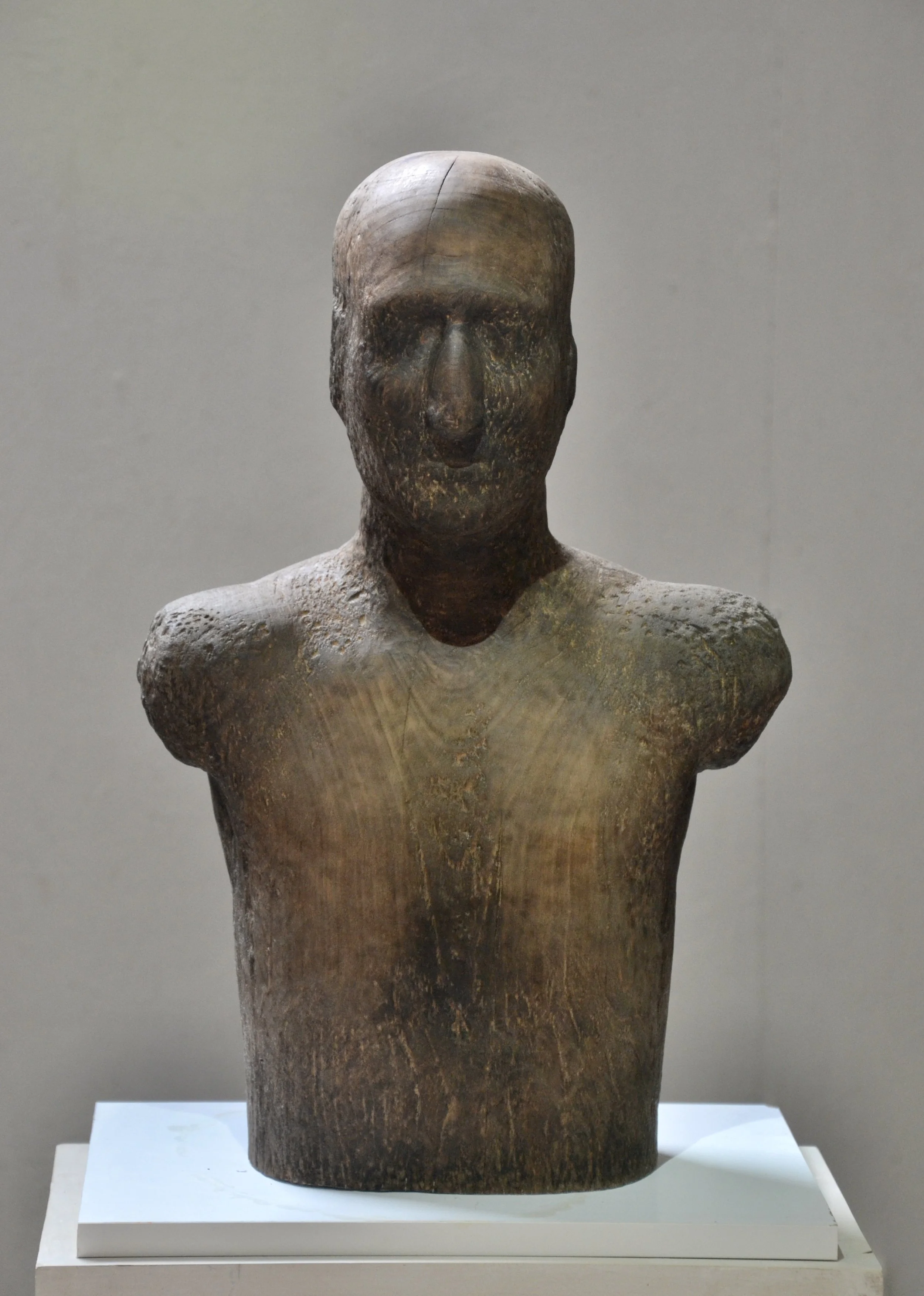  puu (tervaleppä), 51 x 33 x 22cm, 2025 