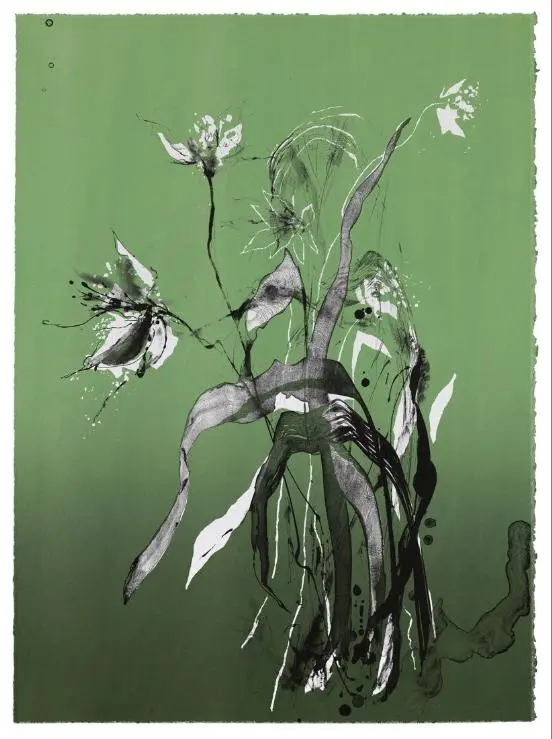 Päivänliljoja, 2022, 78x58, kivilitografia, 550€.png