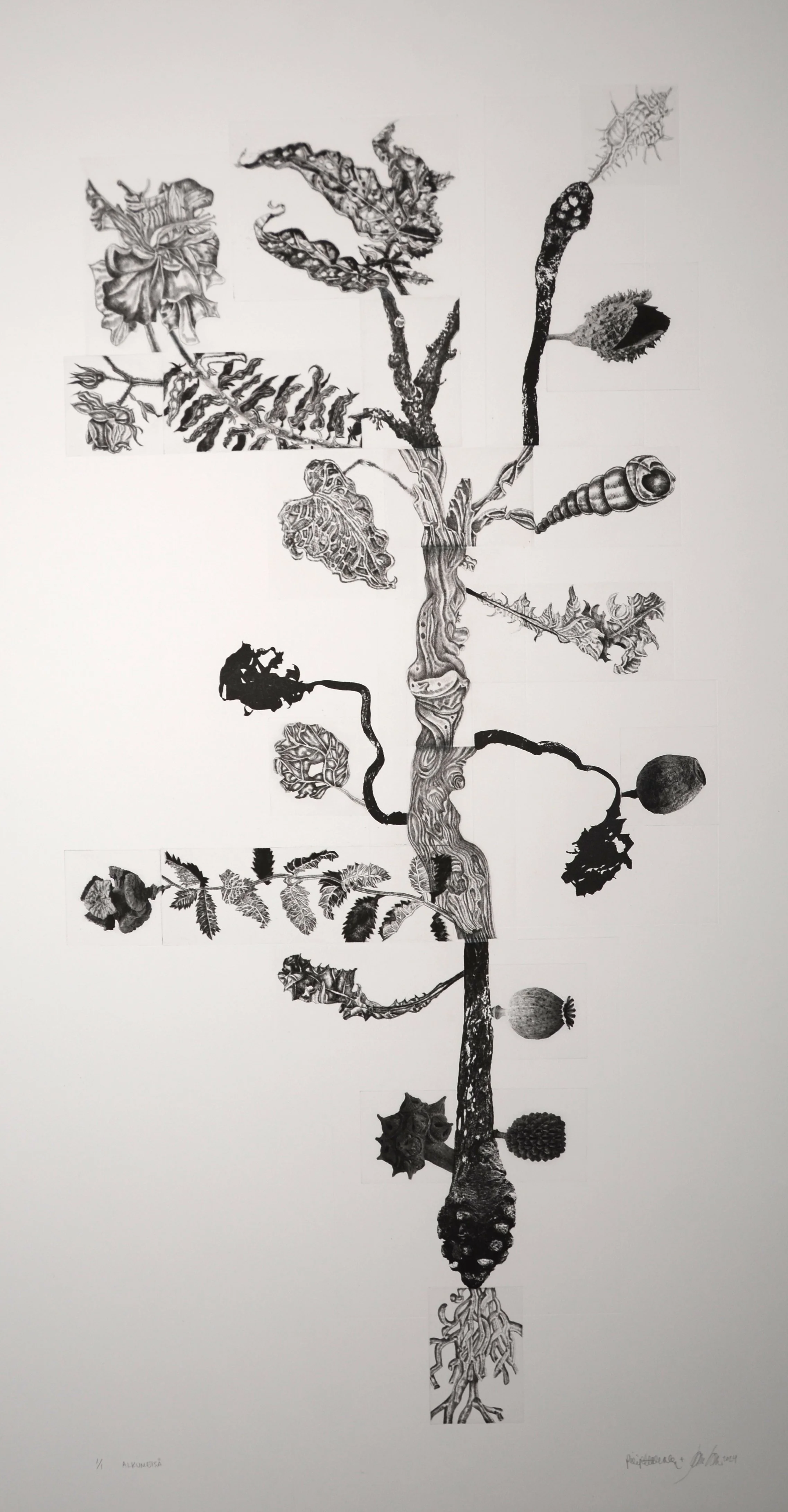 Brander Laine, Alkumetsä, 2024 uniikki.jpg