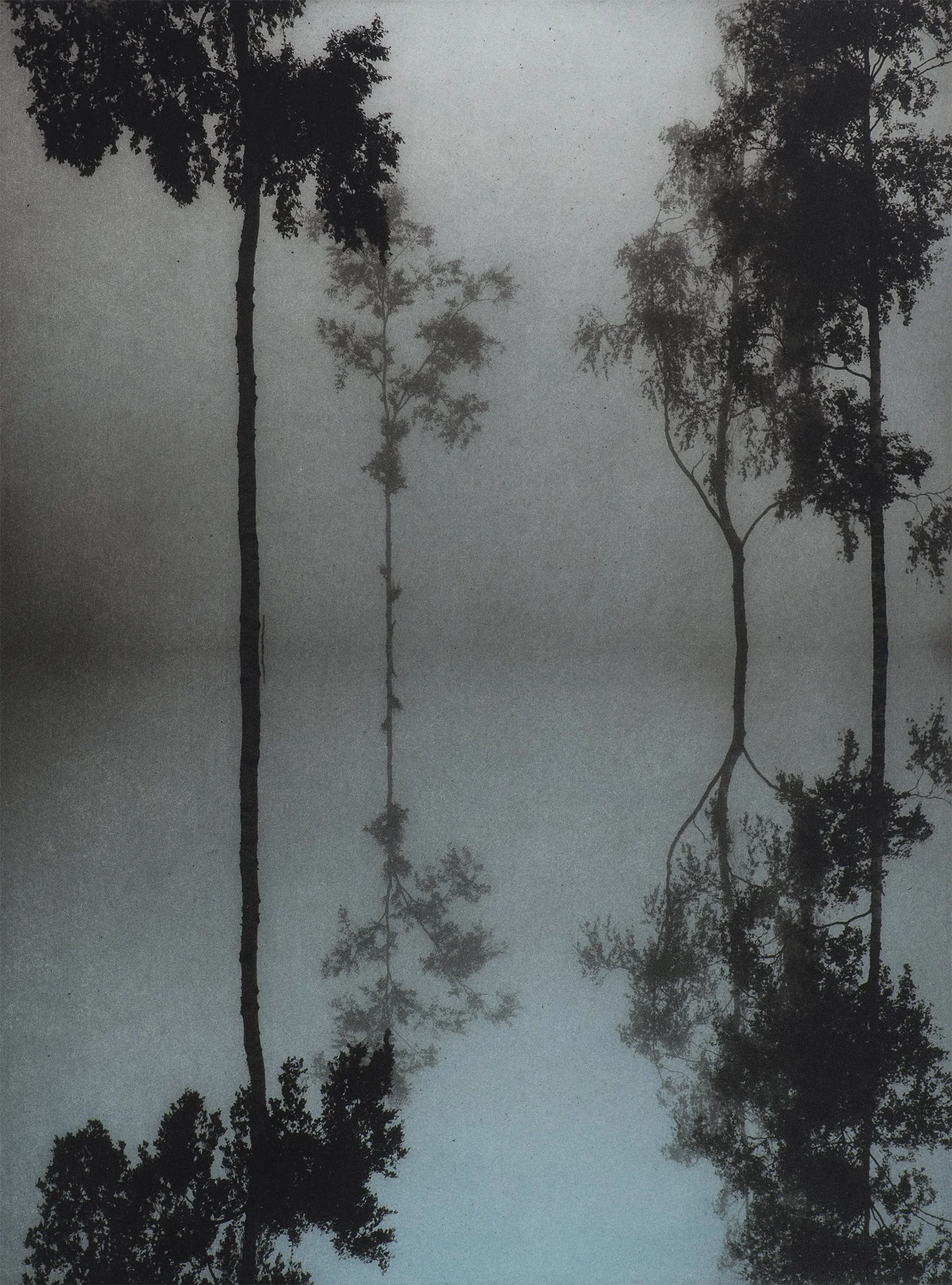 Laine, High tide, 2015, polymeerigravyyri ja akvatinta, 40x30cm.jpg