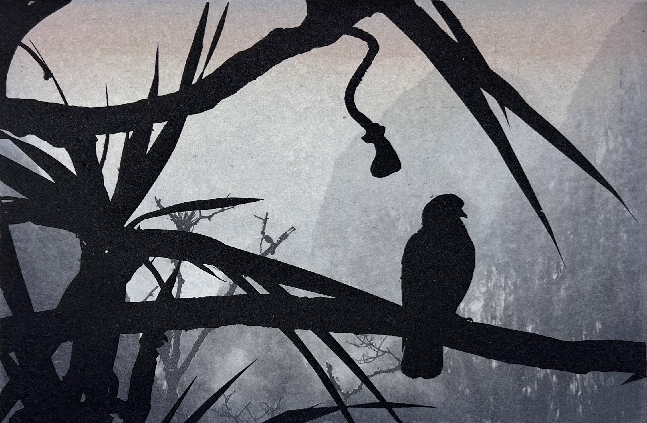 Misty morning III, 2025, Aquatint, Photoetching, Phopolymergravure, 15 x 22 cm.jpg