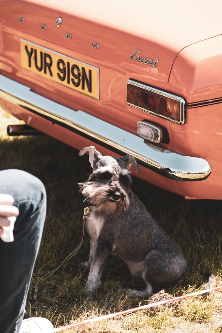 Kabizzz_Photography_Stirling_District_Classic _cars-110.jpg