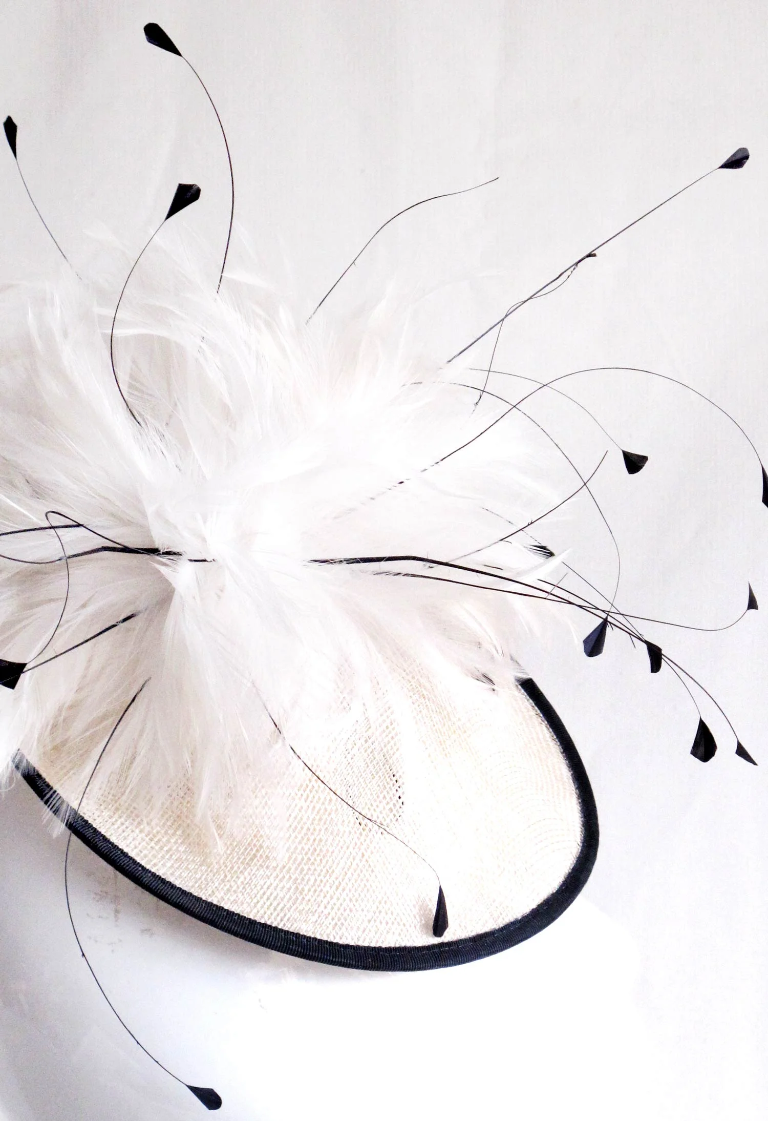 feather1.jpg