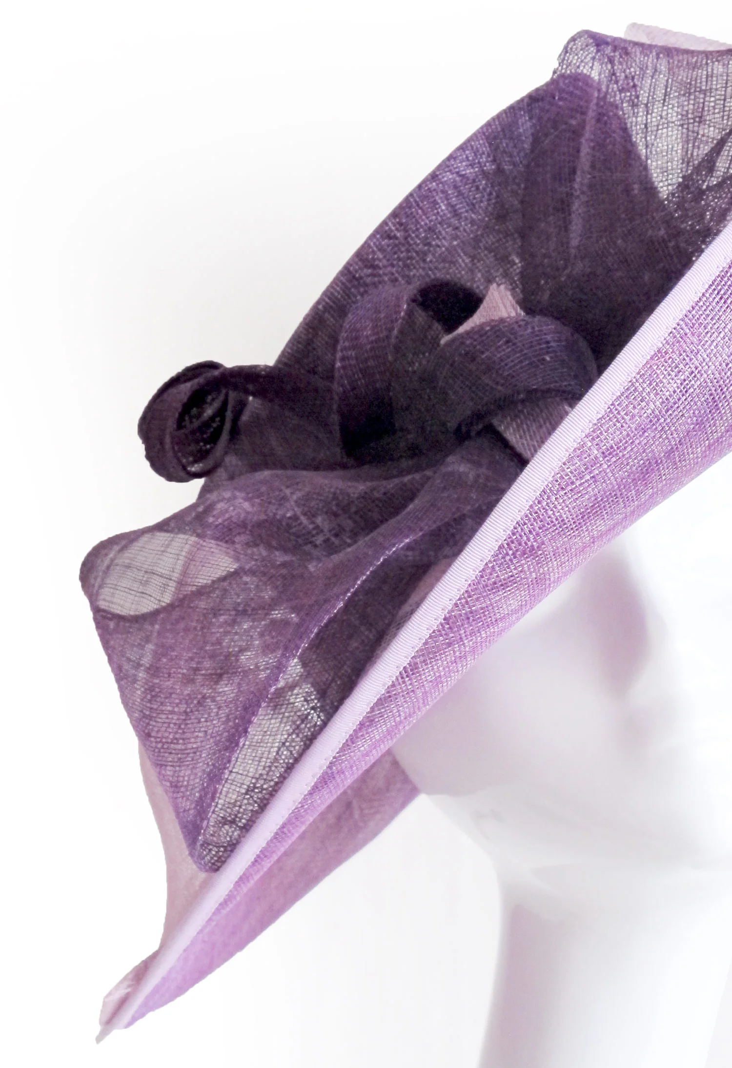 widepurple_4.jpg