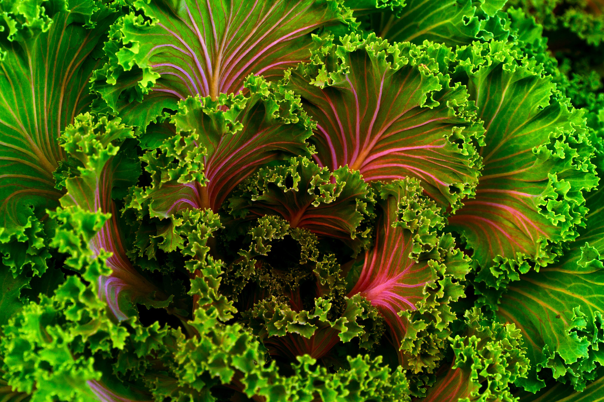 nutritionist-gibraltar.jpg