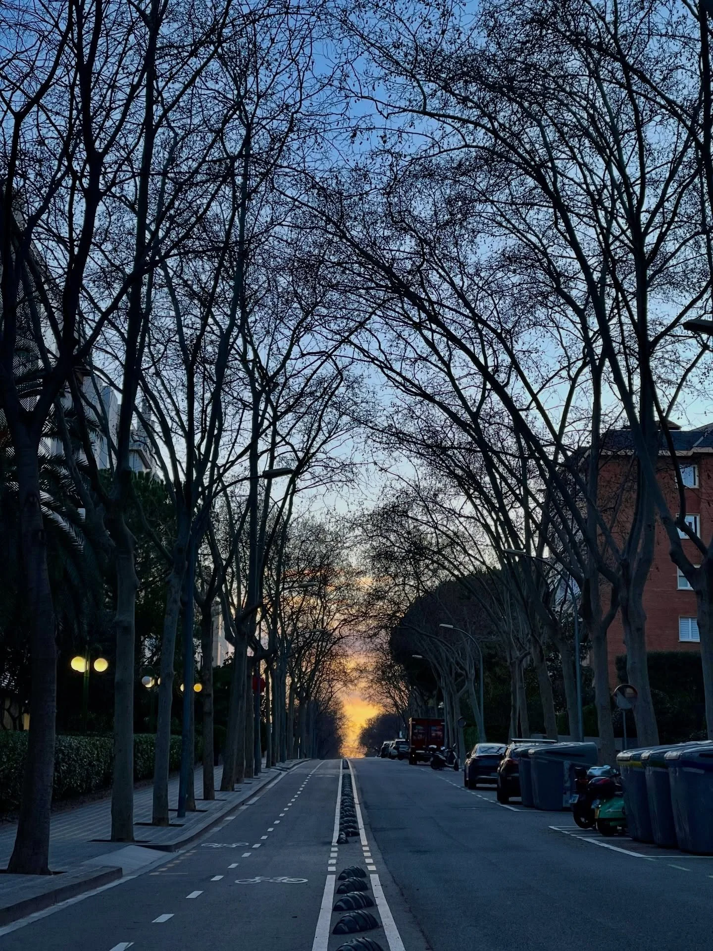 Had to stop my ride to take this.

These branching patterns remind me of our nervous system - same structure, same qualities.

The strength is not in thickness - it&rsquo;s in the network.

A single branch is breakable.
A single nerve is vulnerable.
