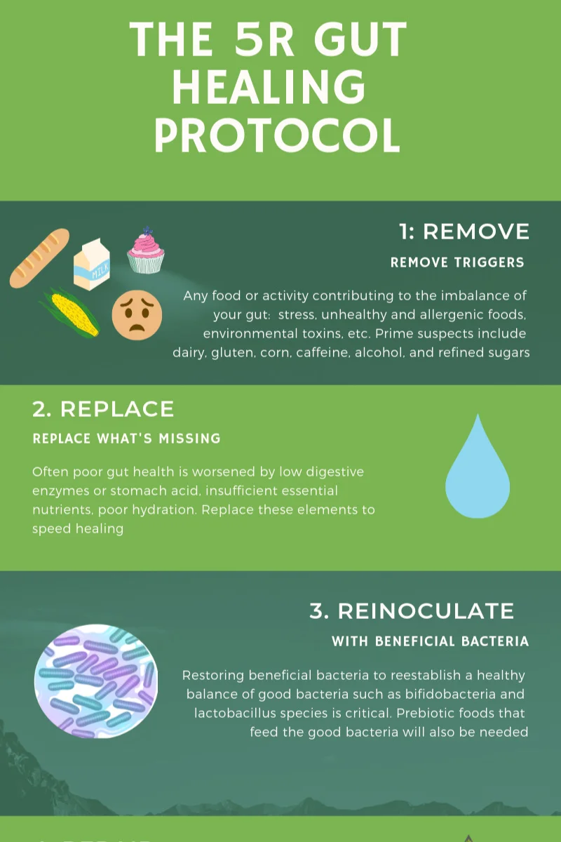 Peptide integration into gut healing protocols