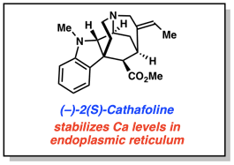 Collaboration with NIH Available on ACS Central Science