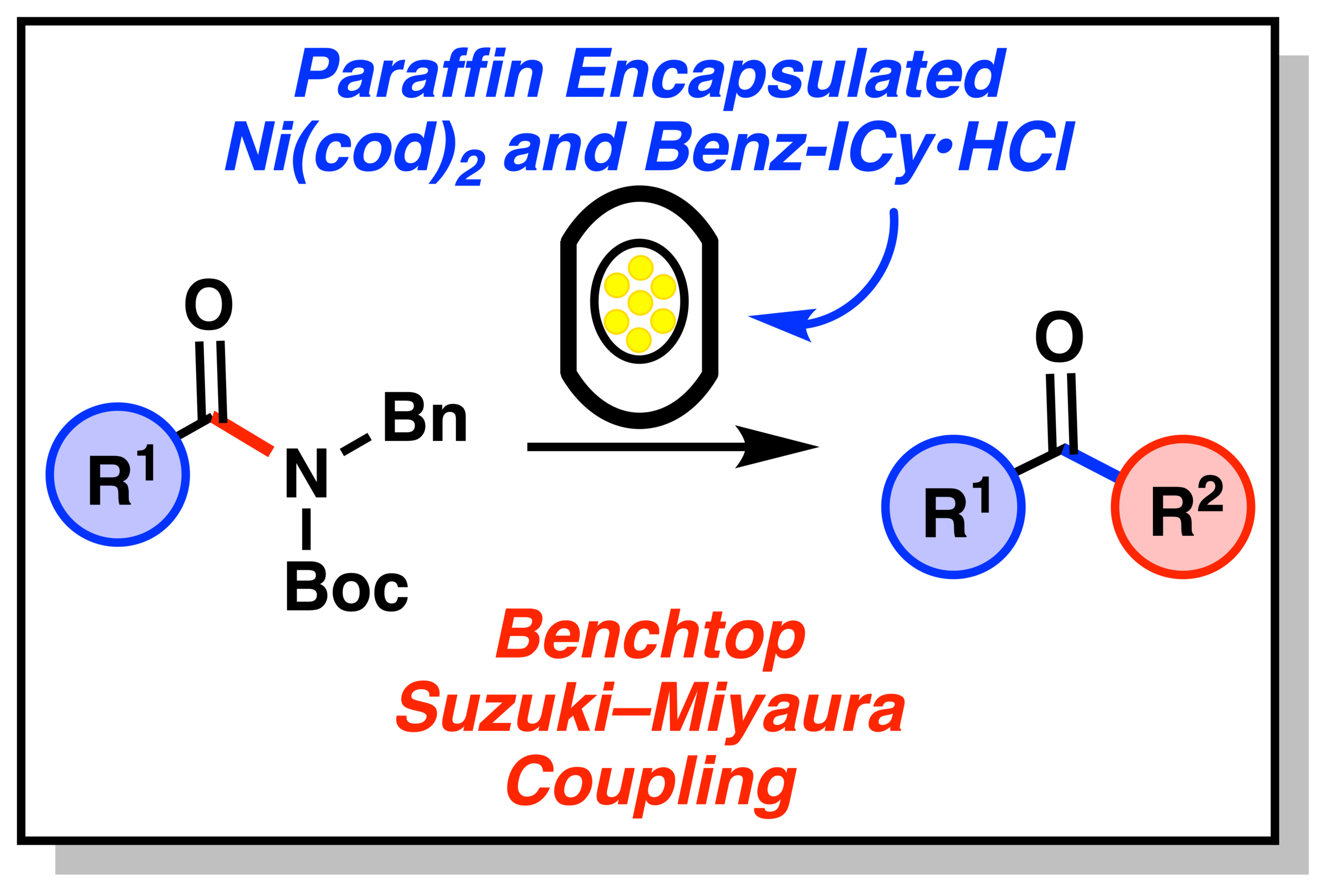 Suzuki–Miyaura Couplings of Aliphatic Amides on the Benchtop Published in Organic Letters!