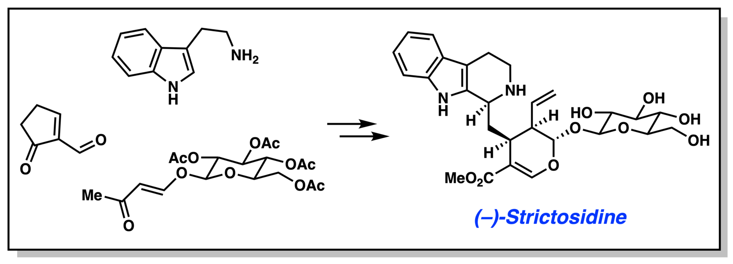 Total Synthesis of (–)-Strictosidine