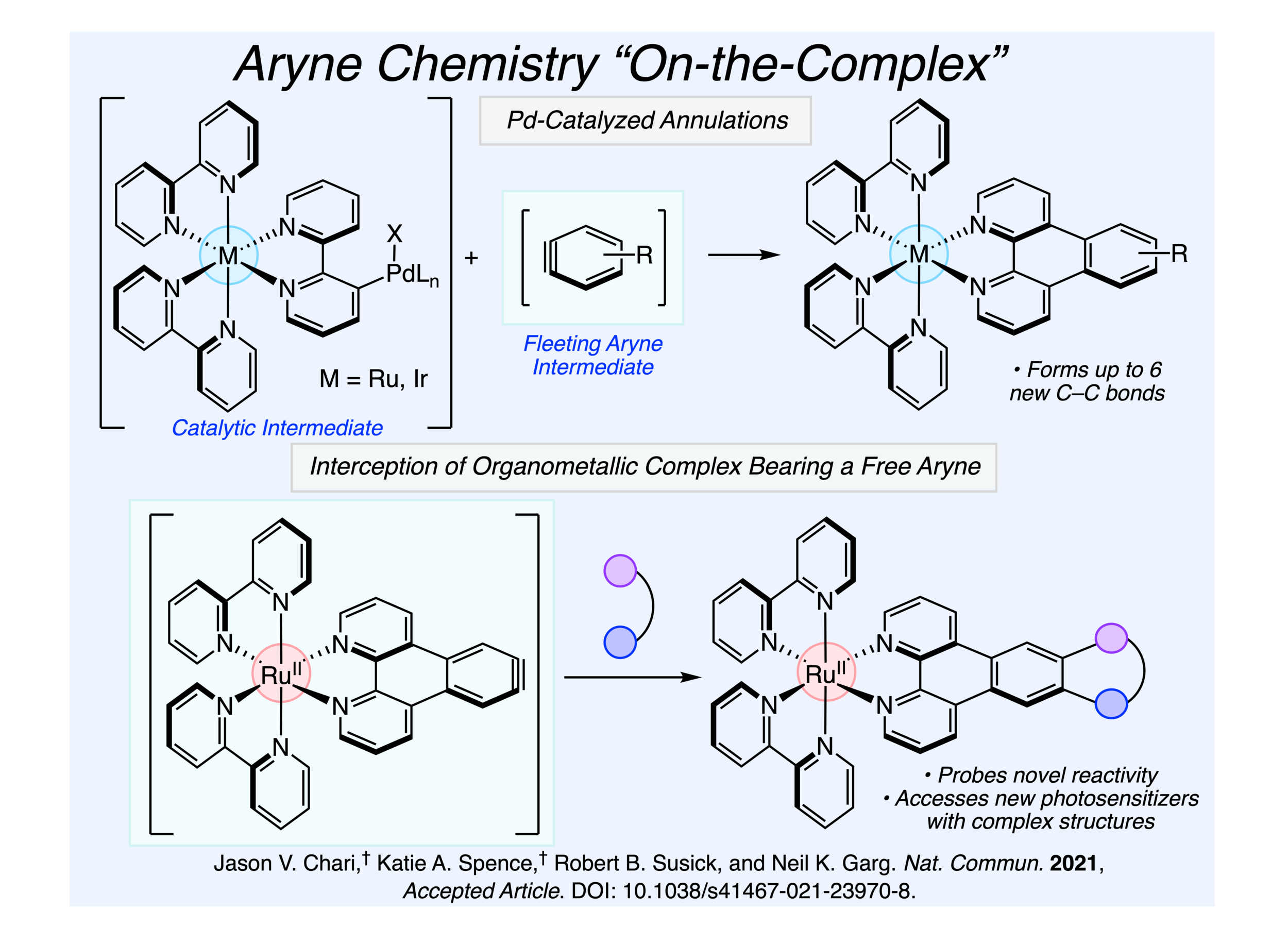 Arynes-Complex.png