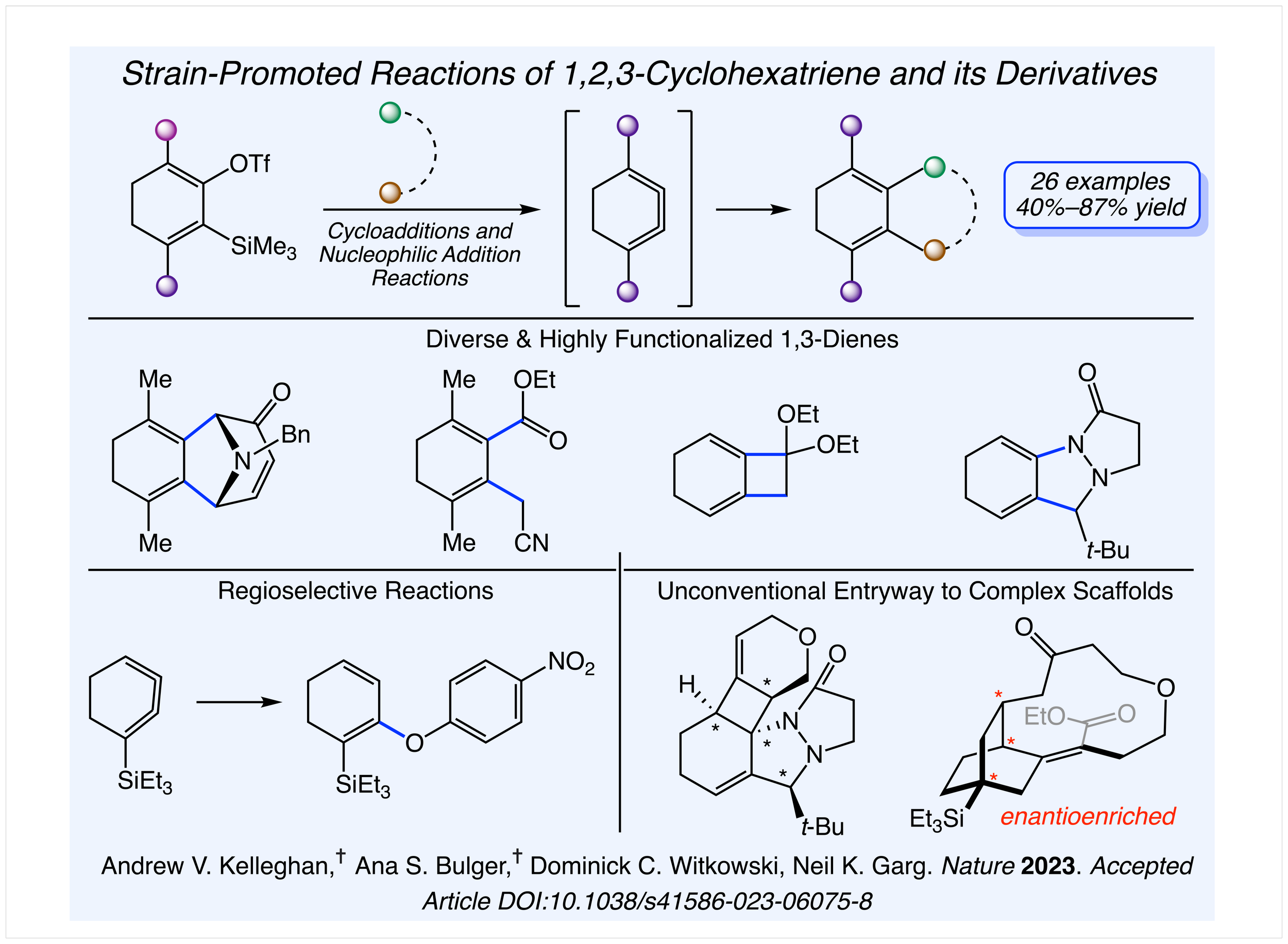 1,2,3-cyclohexatrienes research slide.png