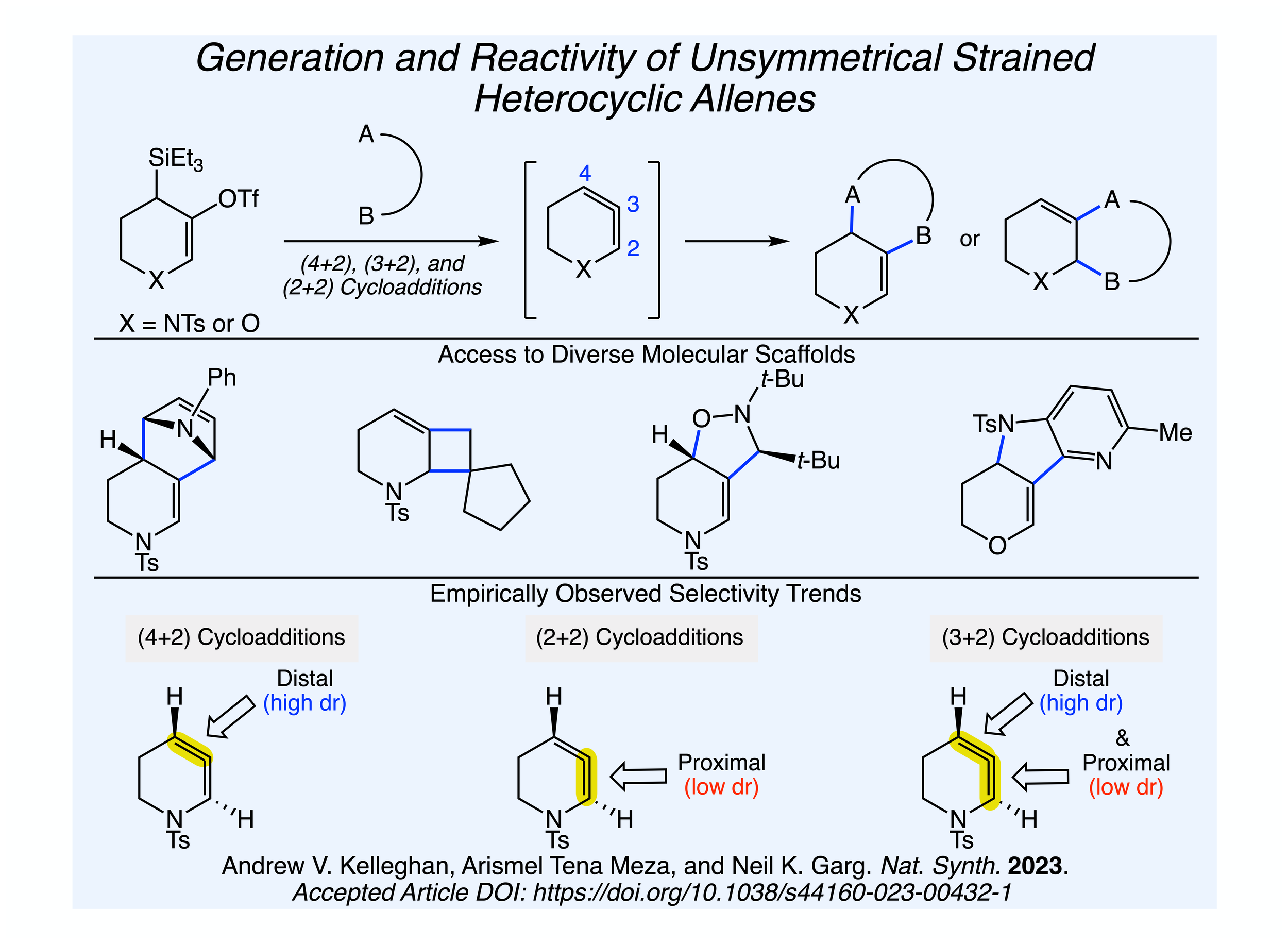 2,3-Heterocyclic Allenes Slide-2.png