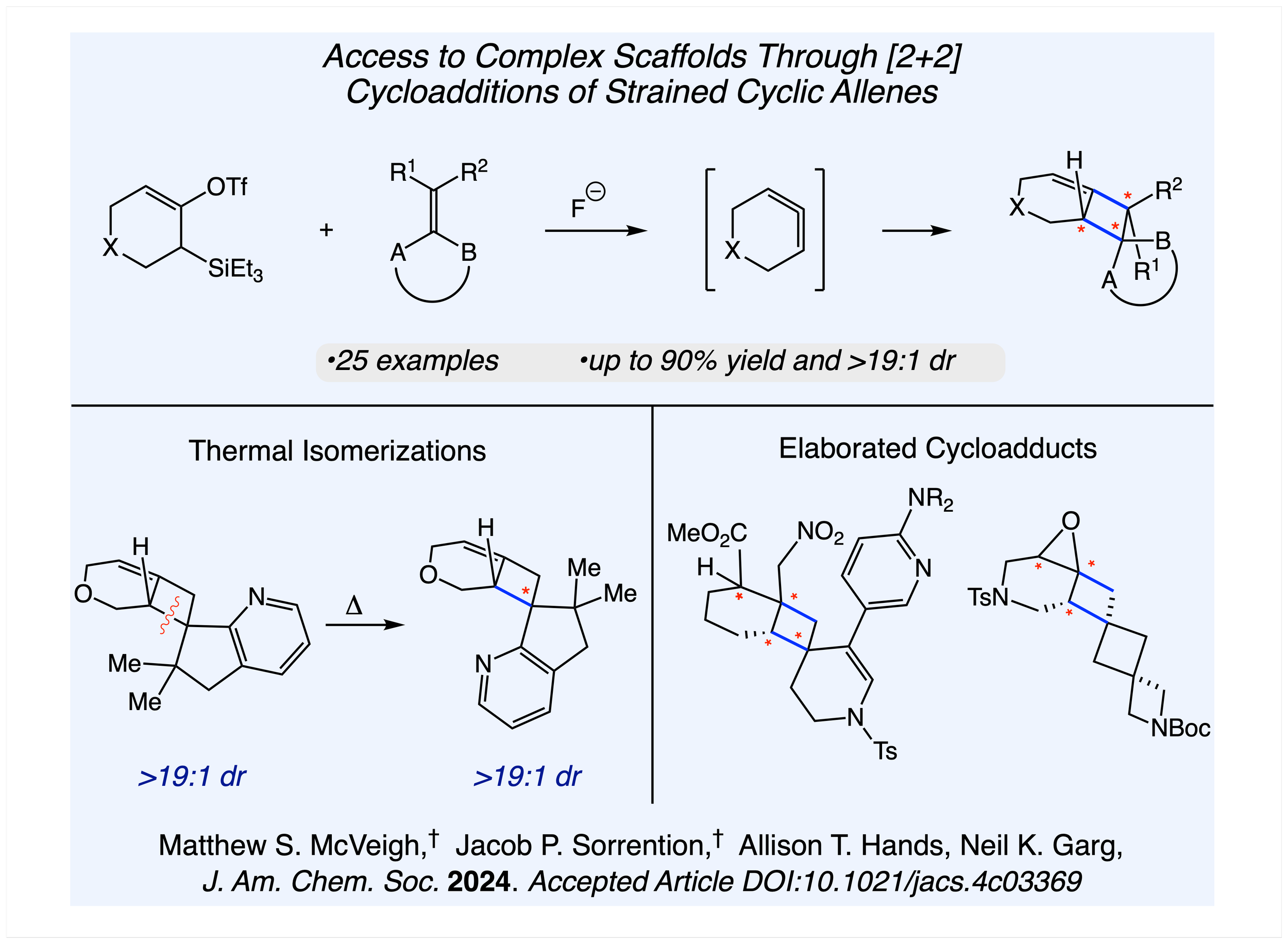[2+2] Allene Research Slide.png