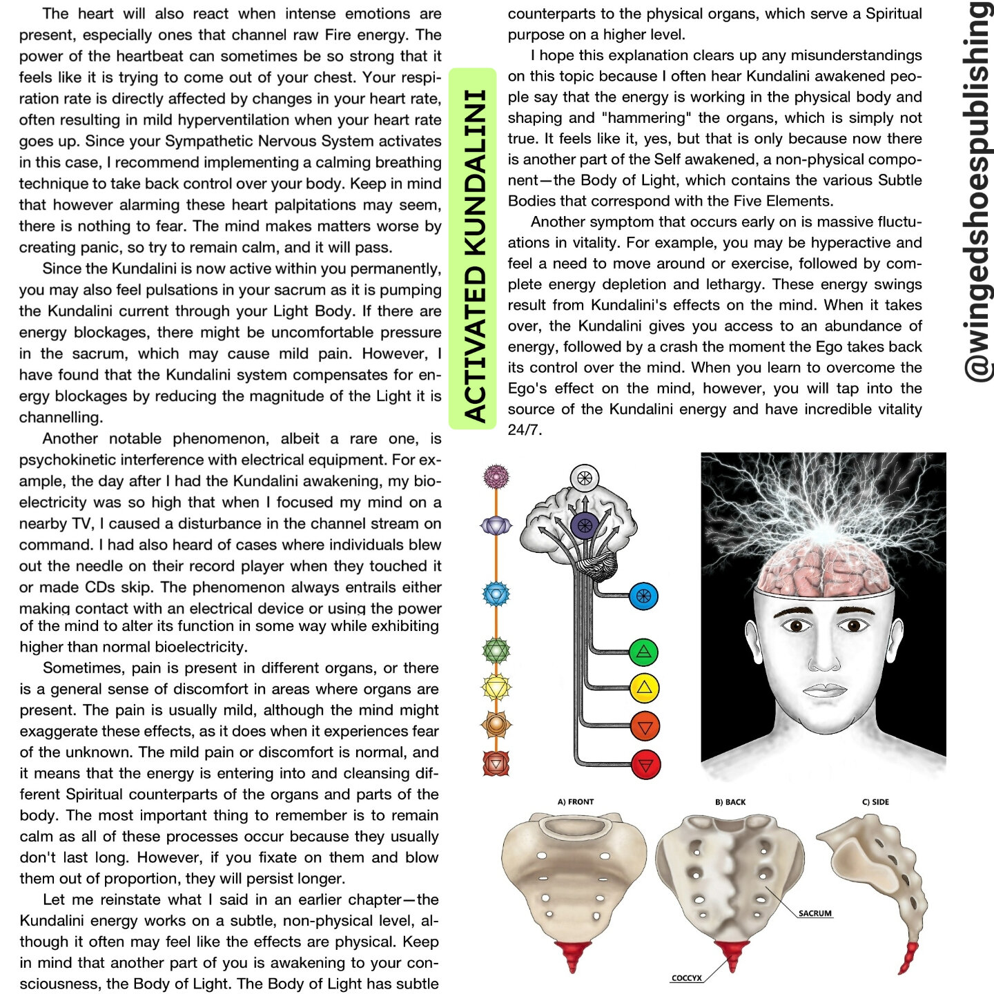 Excerpt and images from &quot;Serpent Rising: The Kundalini Compendium&quot; by Neven Paar, a 650-page 7&quot;x10&quot; textbook subtitled &quot;The World's Most Comprehensive Body of Work on Human Energy Potential.&quot;
.
.
OUT NOW!!! Click the lin