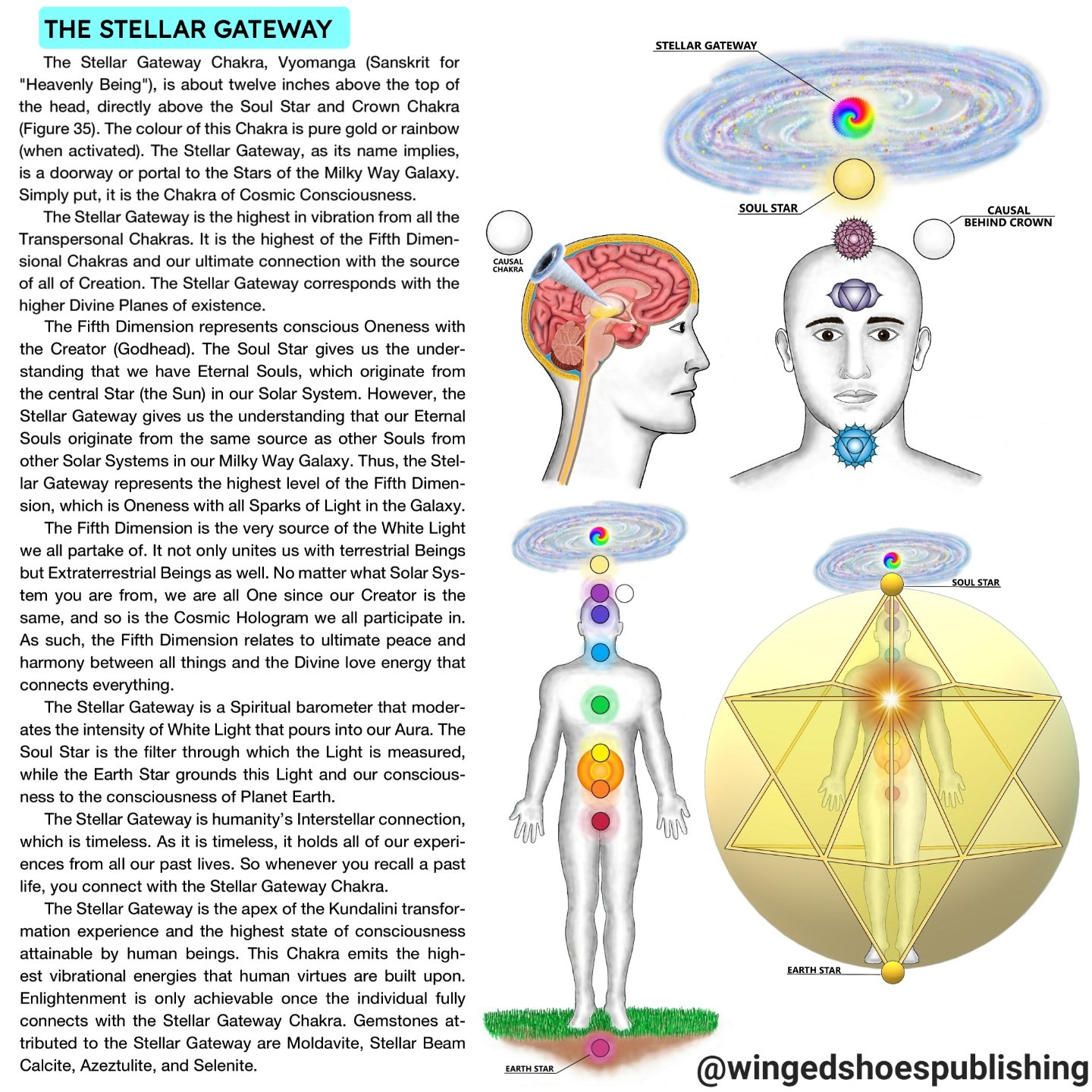 Excerpt and images from &quot;Serpent Rising: The Kundalini Compendium&quot; by Neven Paar, a 650-page 7&quot;x10&quot; textbook subtitled &quot;The World's Most Comprehensive Body of Work on Human Energy Potential.&quot;
.
.
OUT NOW!!! Click the lin