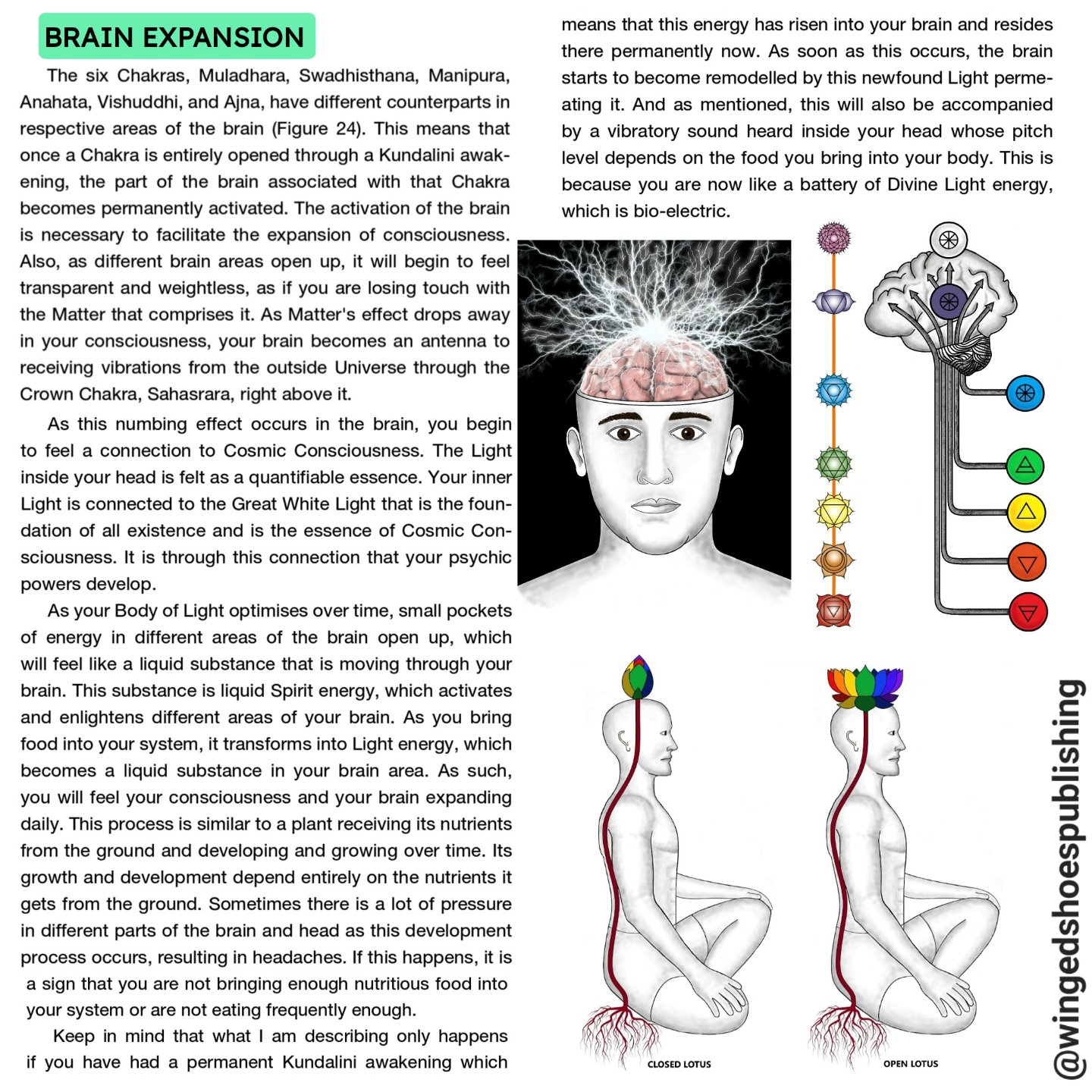 Excerpt and images from &quot;Serpent Rising: The Kundalini Compendium&quot; by Neven Paar, a 650-page 7&quot;x10&quot; textbook subtitled &quot;The World's Most Comprehensive Body of Work on Human Energy Potential.&quot;
.
.
OUT NOW!!! Click the lin