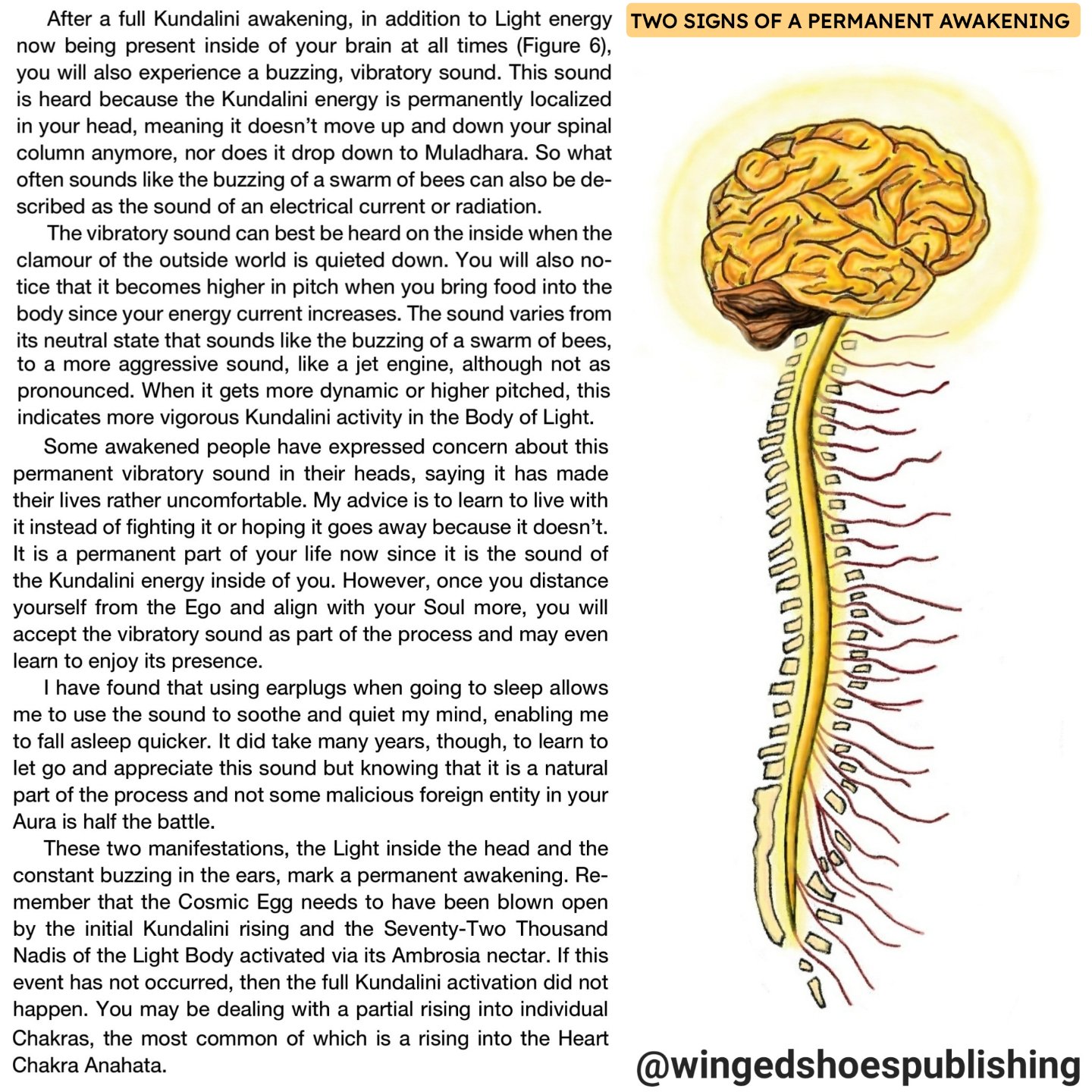 Excerpt and image from &quot;Serpent Rising: The Kundalini Compendium&quot; by Neven Paar, a 650-page textbook subtitled &quot;The World's Most Comprehensive Body of Work on Human Energy Potential.&quot;
.
.
OUT NOW!!! Click the link in bio to order 