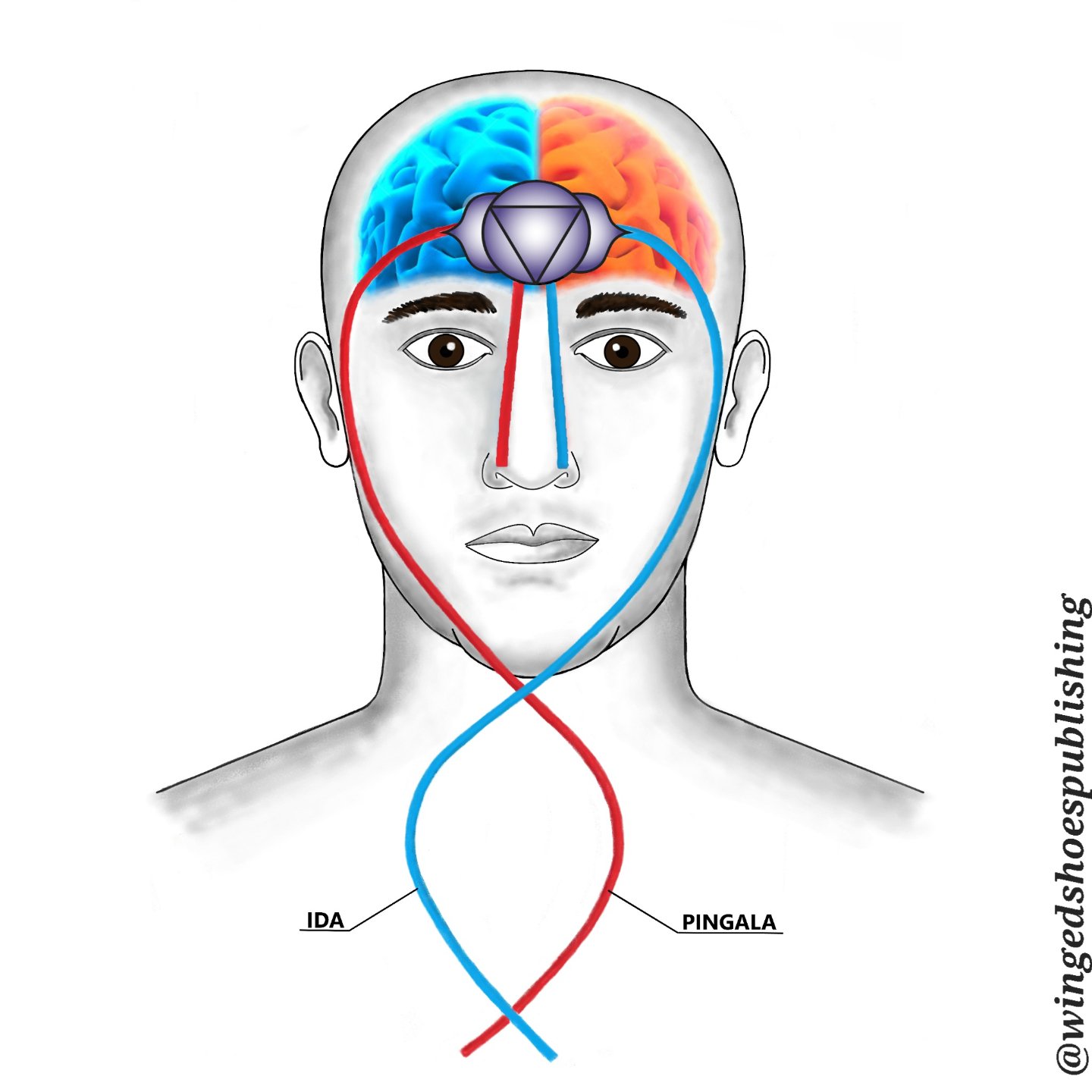 &quot;The correct flow of energy through Ida and Pingala is of paramount importance to the Kundalini circuit's proper functioning. Blockages in either of these Nadis will prevent the energy from working as it should. If there are blockages, you will 