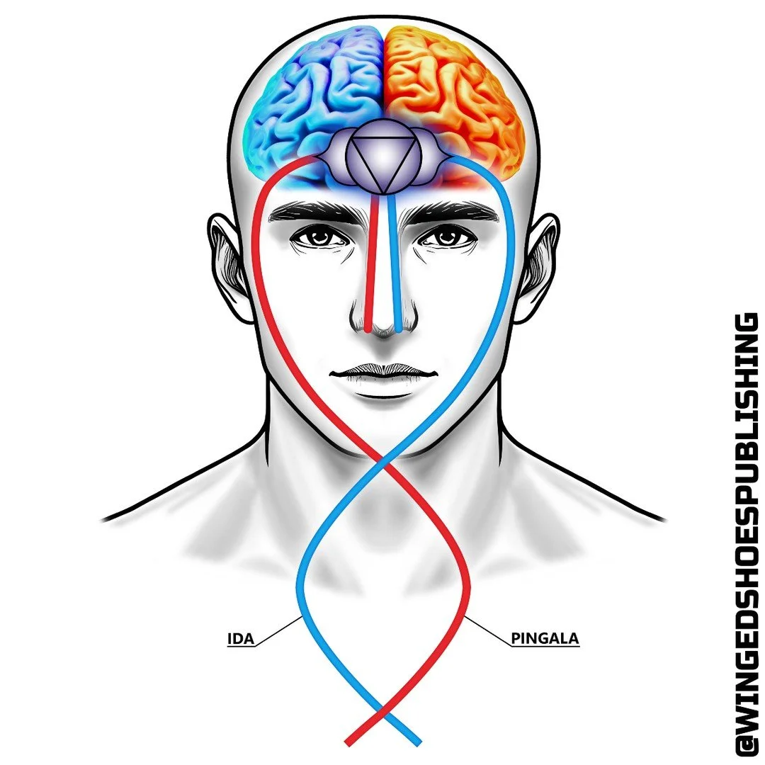 "The correct flow of energy through Ida and Pingala is of paramount importance to the Kundalini circuit's proper functioning. Blockages in either of these Nadis will prevent the energy from working as it should. If there are blockages, you will
