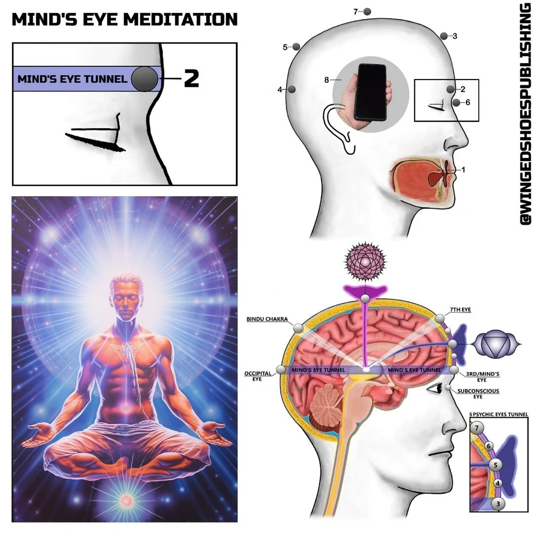 "Mind’s Eye Meditation-The first and most critical meditation is on the Mind's Eye, Ajna Chakra's energy portal, a centre of consciousness that is a window into the Cosmic Realms. This portal’s frontal entrance is located between the