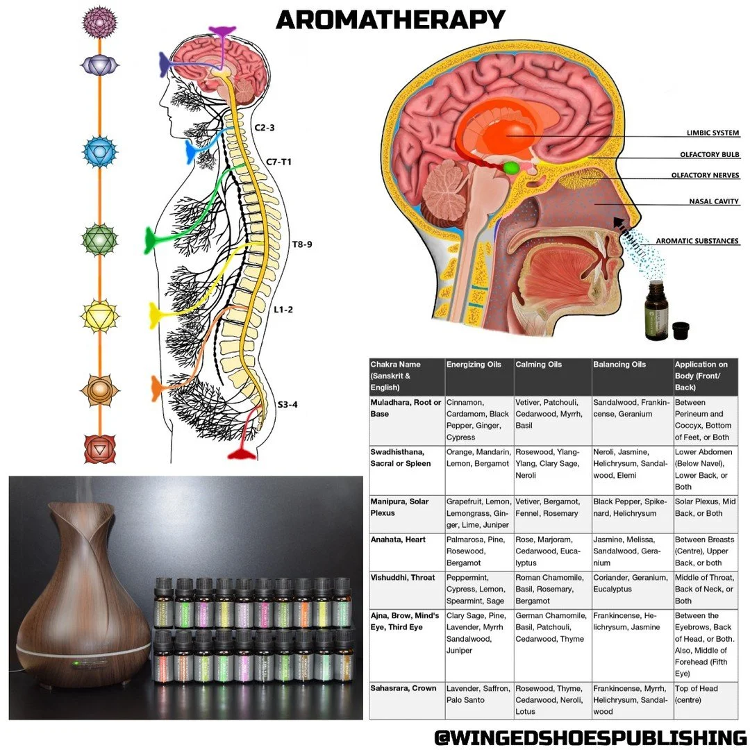 "Essential oil fragrances use the air around us as a transmission medium to carry molecules into the nasal passage, thereby triggering an emotional response. At the same time, the essential oil's particles are delivered to the lungs with each br