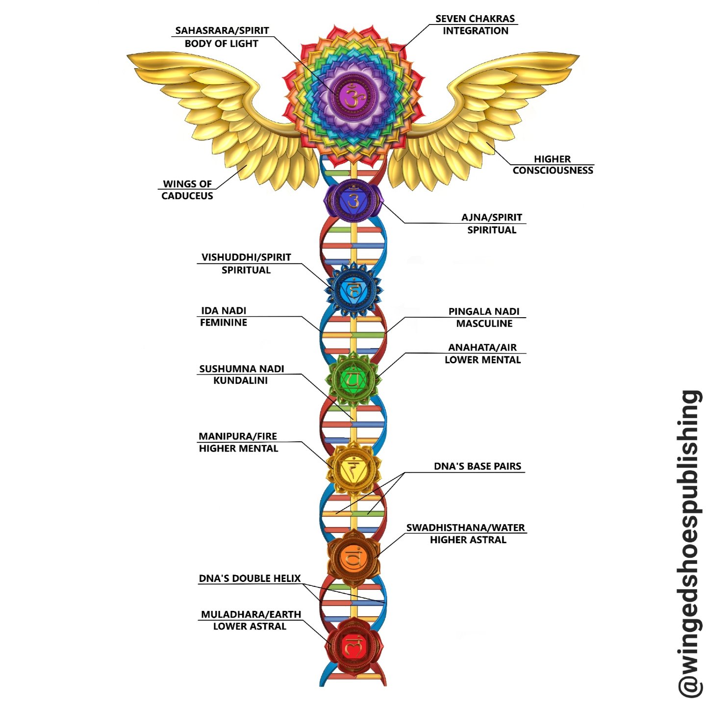 &quot;Your toroidal field is an autonomous battery powered by Prana, which requires food and water for fuel. Once the Kundalini pierces Sahasrara Chakra and opens the Thousand-Petalled Lotus, consciousness unites with Cosmic Consciousness, expanding 