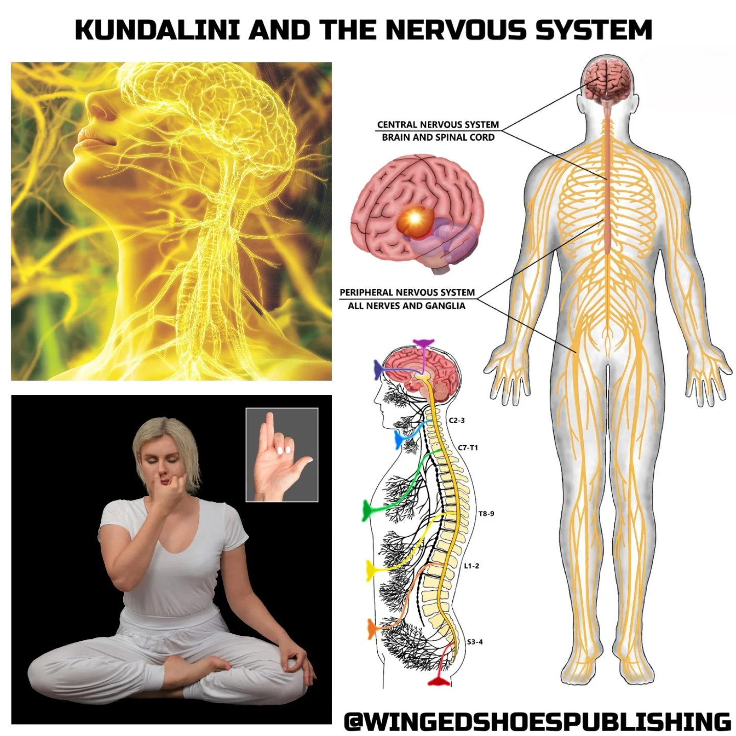 &quot;A nerve impulse is an electrical phenomenon, just like a lightning strike. So when there is an abundance of bioelectricity in the body after a full Kundalini awakening, it puts the entire nervous system in overdrive. A complete transformation o
